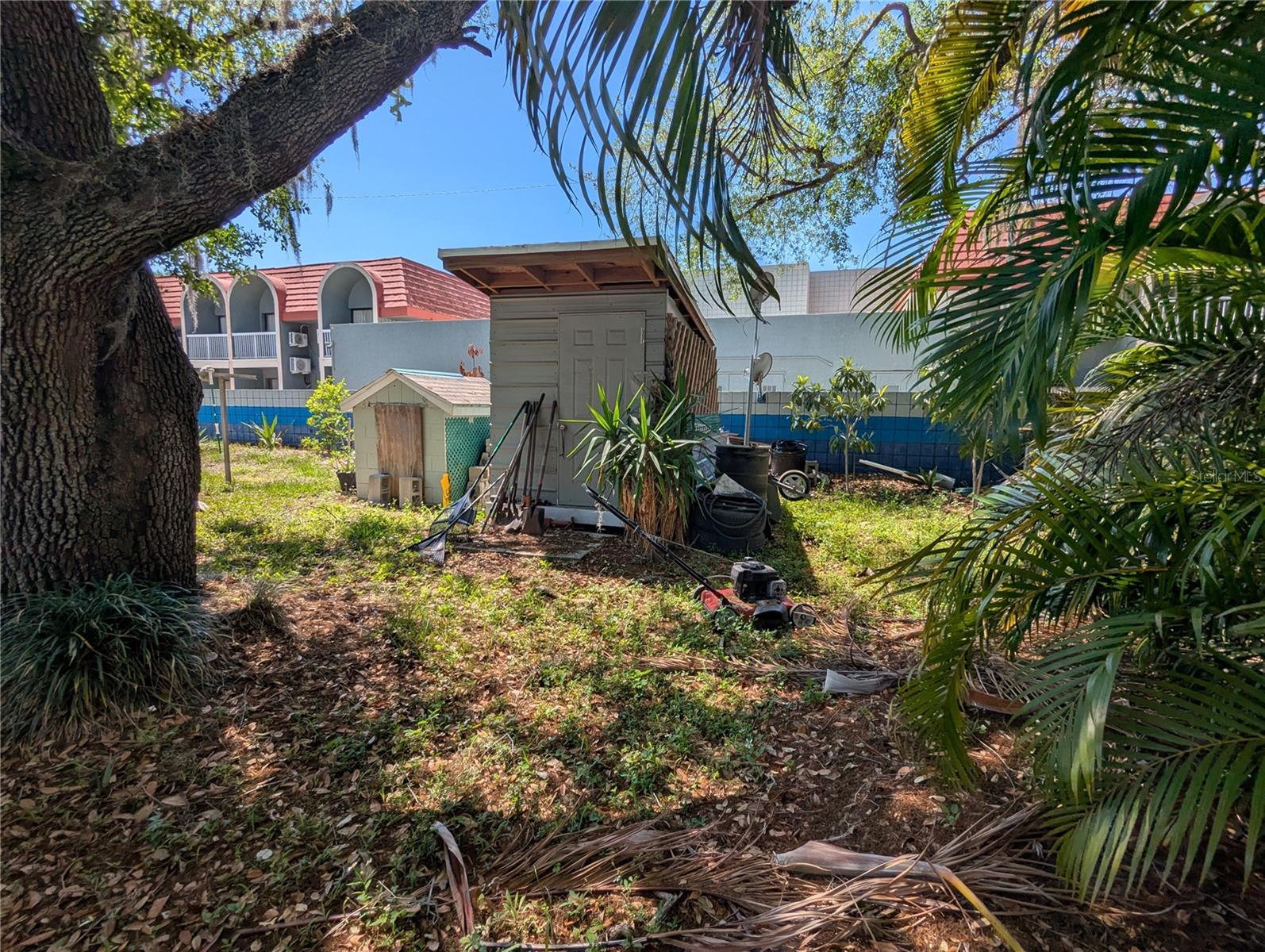 backyard and storage