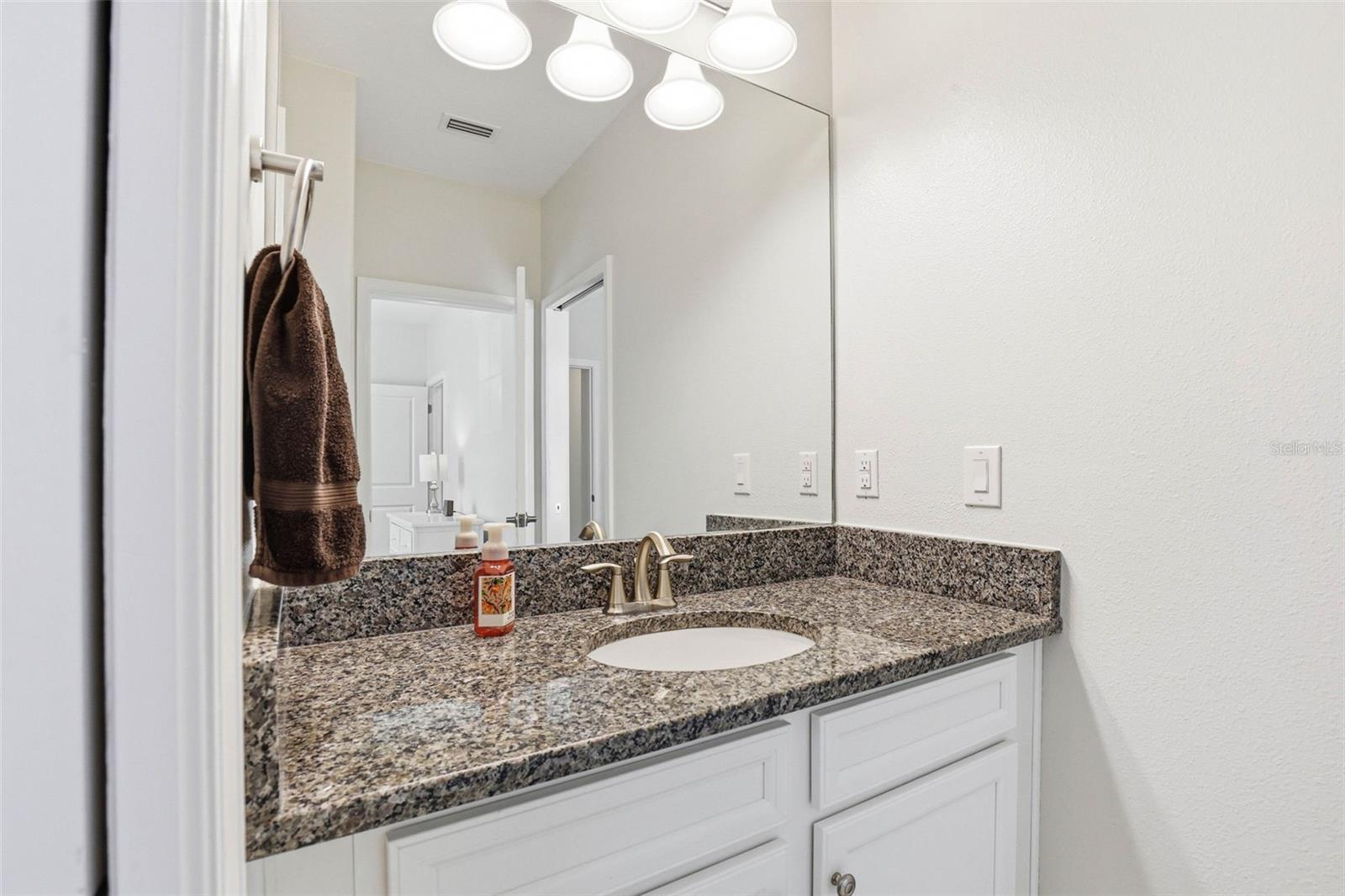 6617 CITRUS CREEK LN, TAMPA, FL, 33625