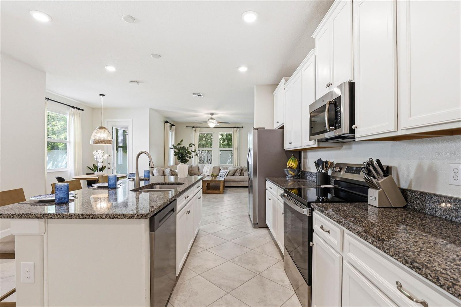 6617 CITRUS CREEK LN, TAMPA, FL, 33625