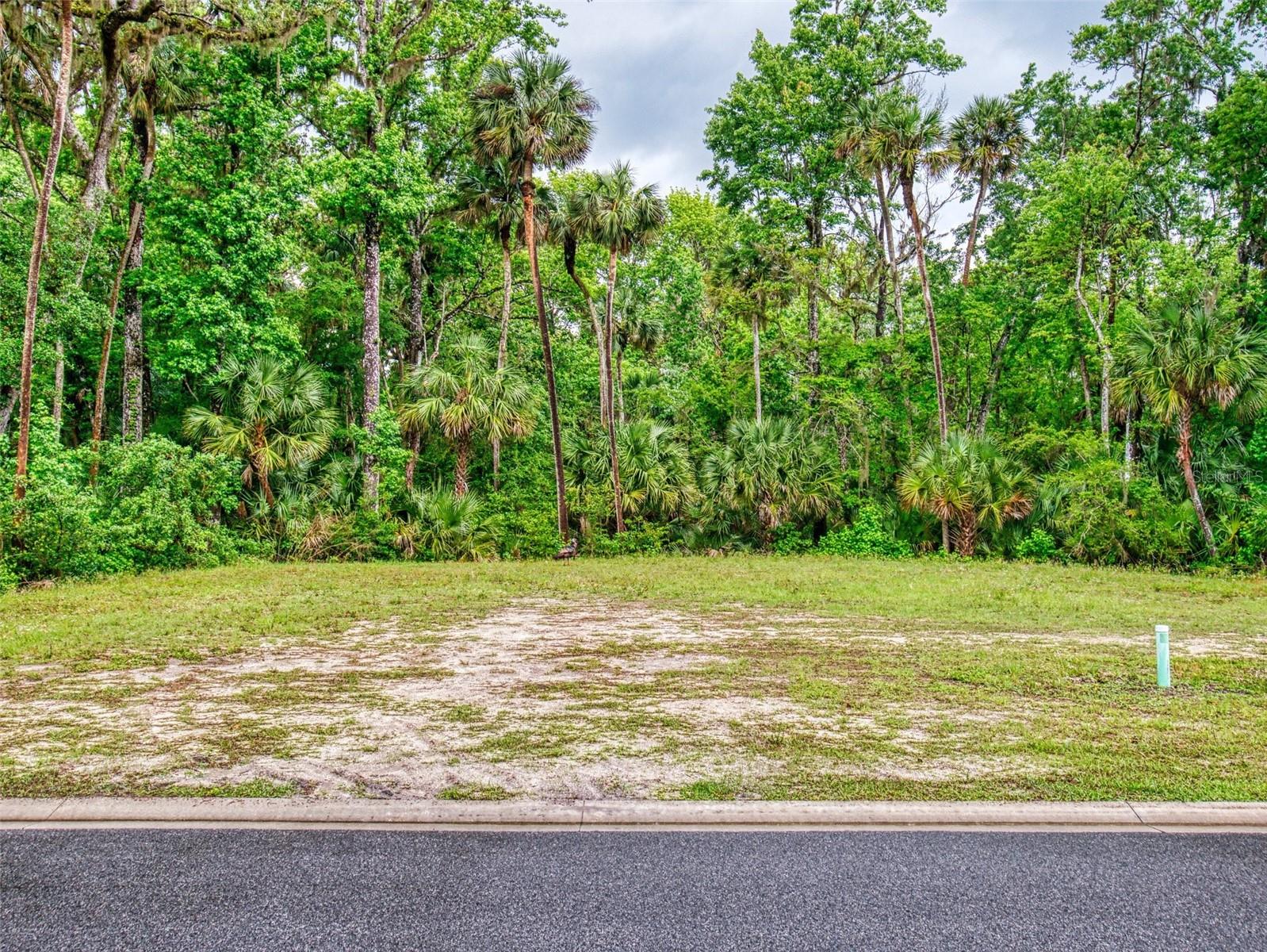 2329 LEGACY LN, NEW SMYRNA BEACH, FL, 32168