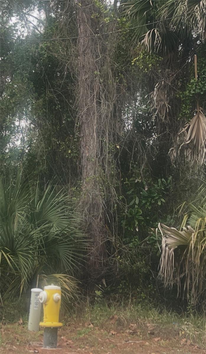 900 W 3RD ST, ST AUGUSTINE, FL, 32084