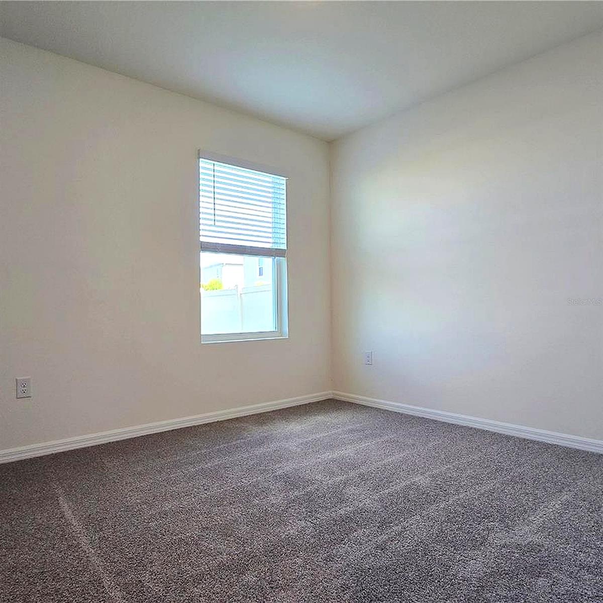 31375 PENNY SURF LOOP, WESLEY CHAPEL, FL, 33545