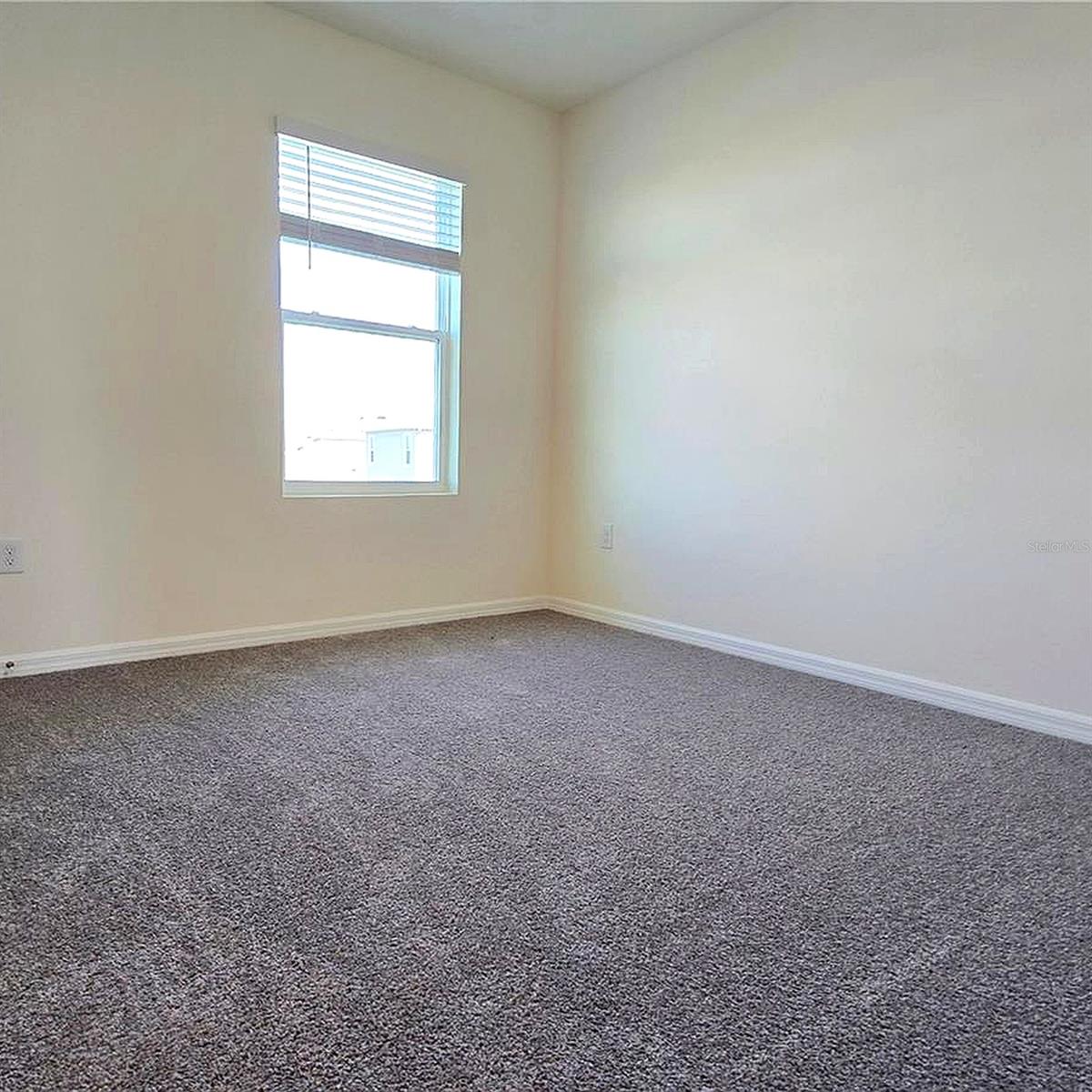 31375 PENNY SURF LOOP, WESLEY CHAPEL, FL, 33545