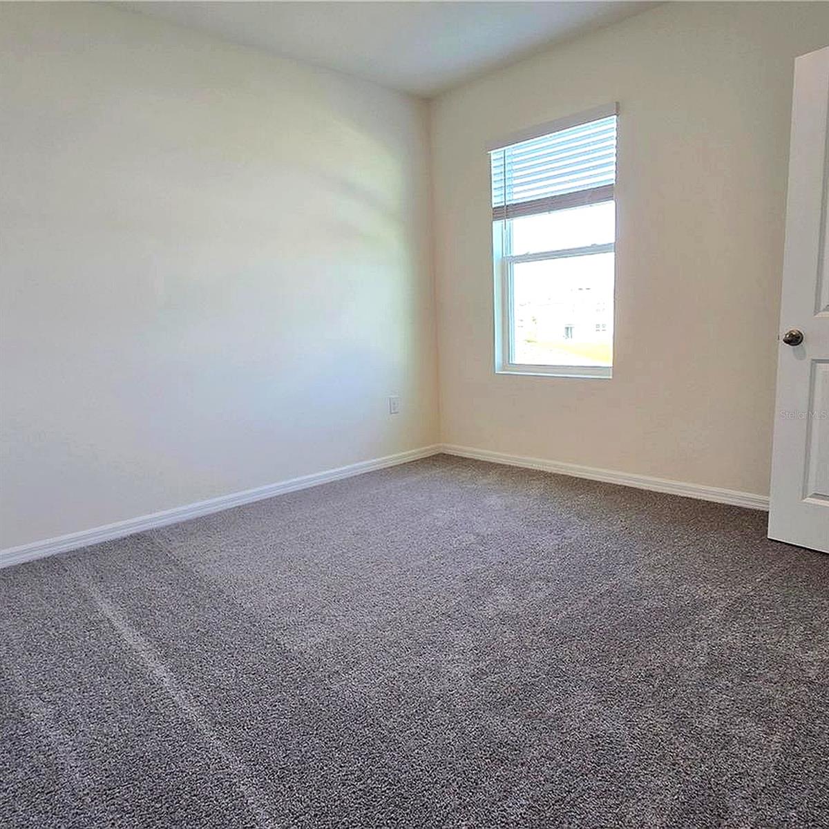 31375 PENNY SURF LOOP, WESLEY CHAPEL, FL, 33545