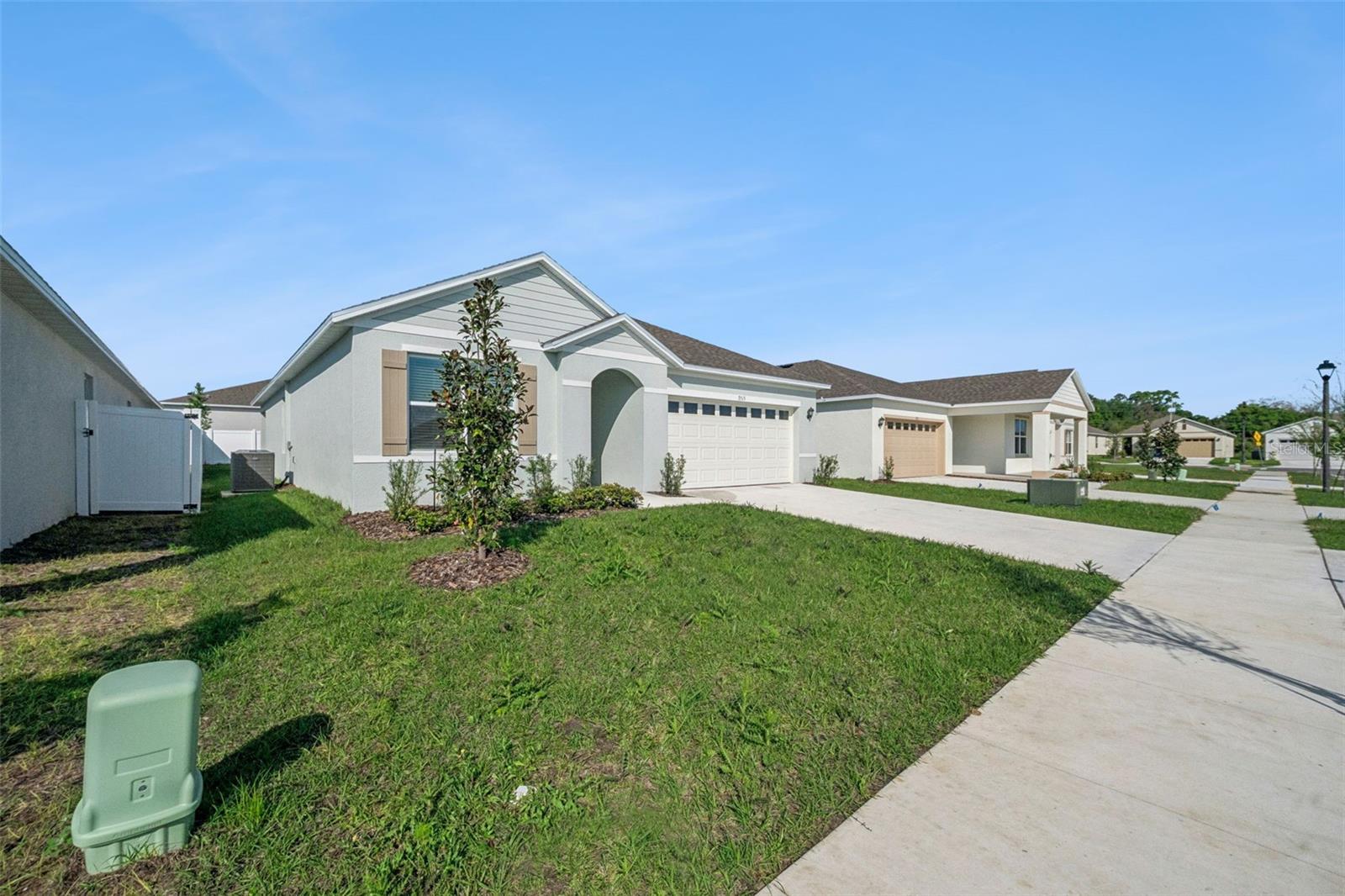 3515 NETTLE LOOP, TAVARES, FL, 32778