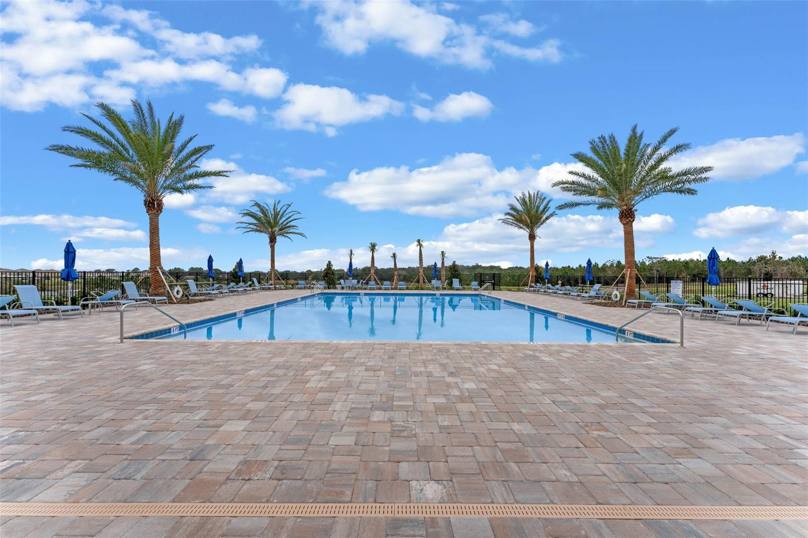 3515 NETTLE LOOP, TAVARES, FL, 32778