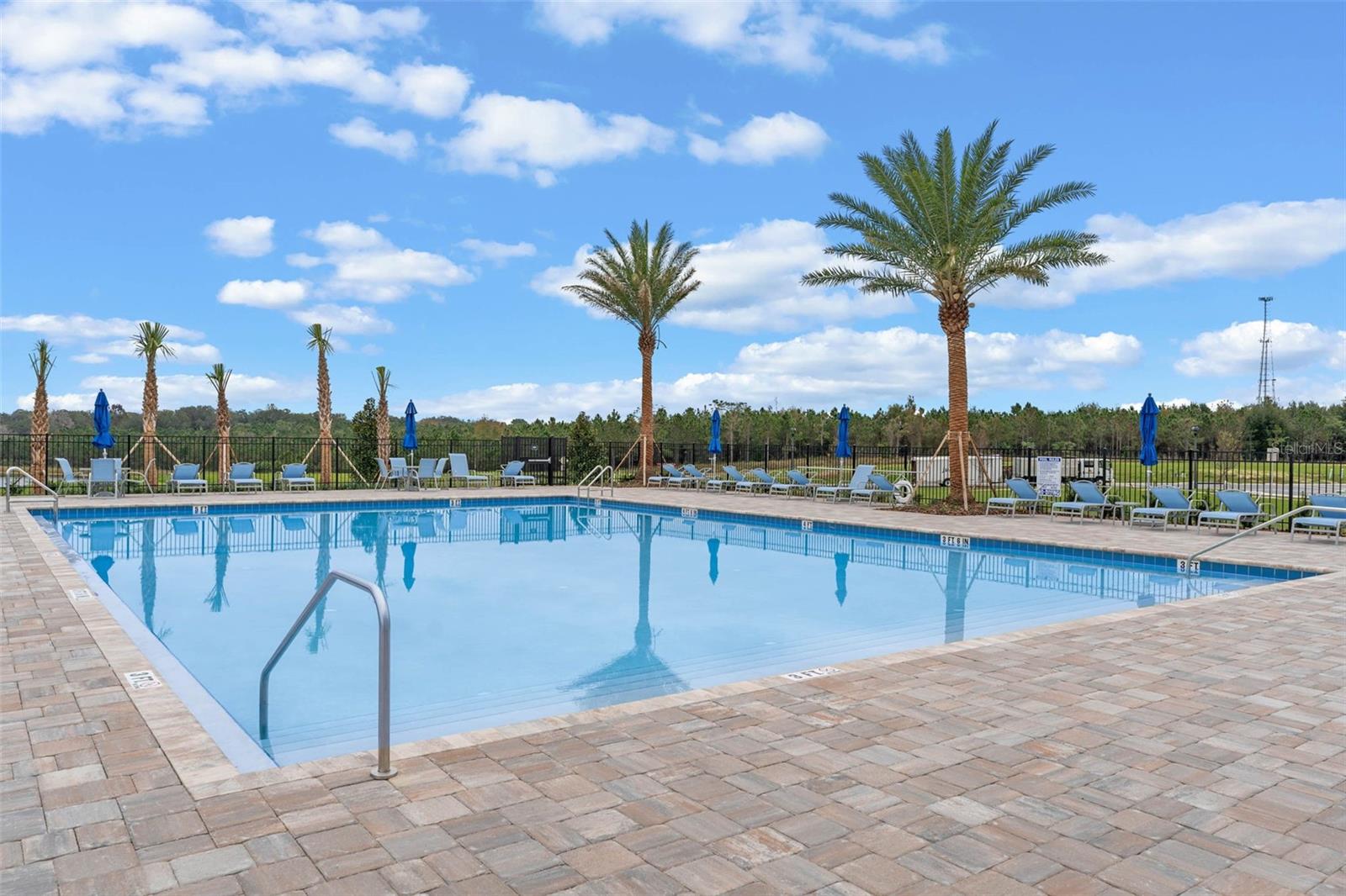 3515 NETTLE LOOP, TAVARES, FL, 32778
