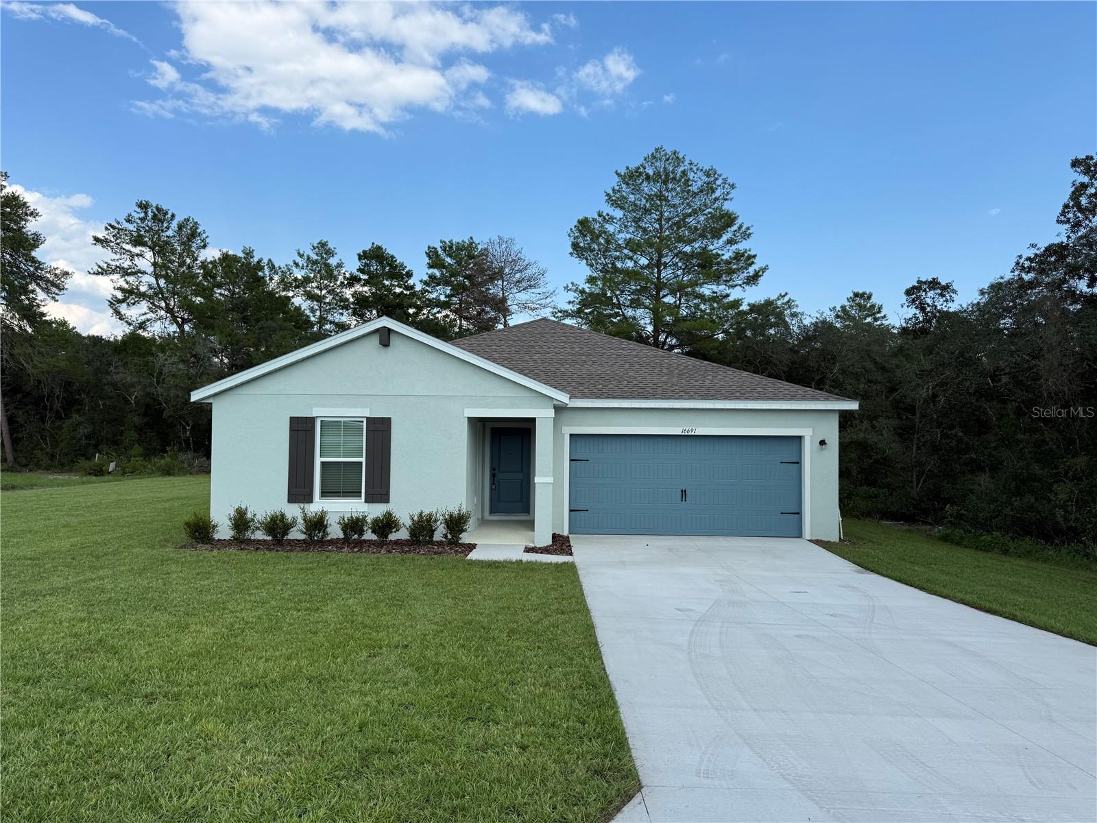 16691 SW 39TH TER, OCALA, FL, 34473