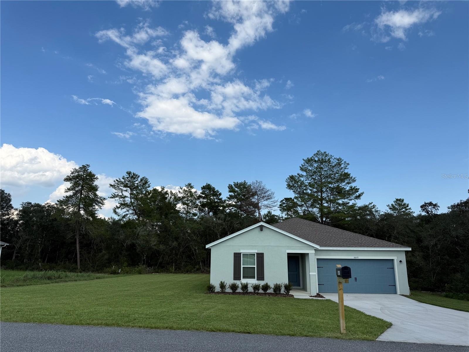 16691 SW 39TH TER, OCALA, FL, 34473