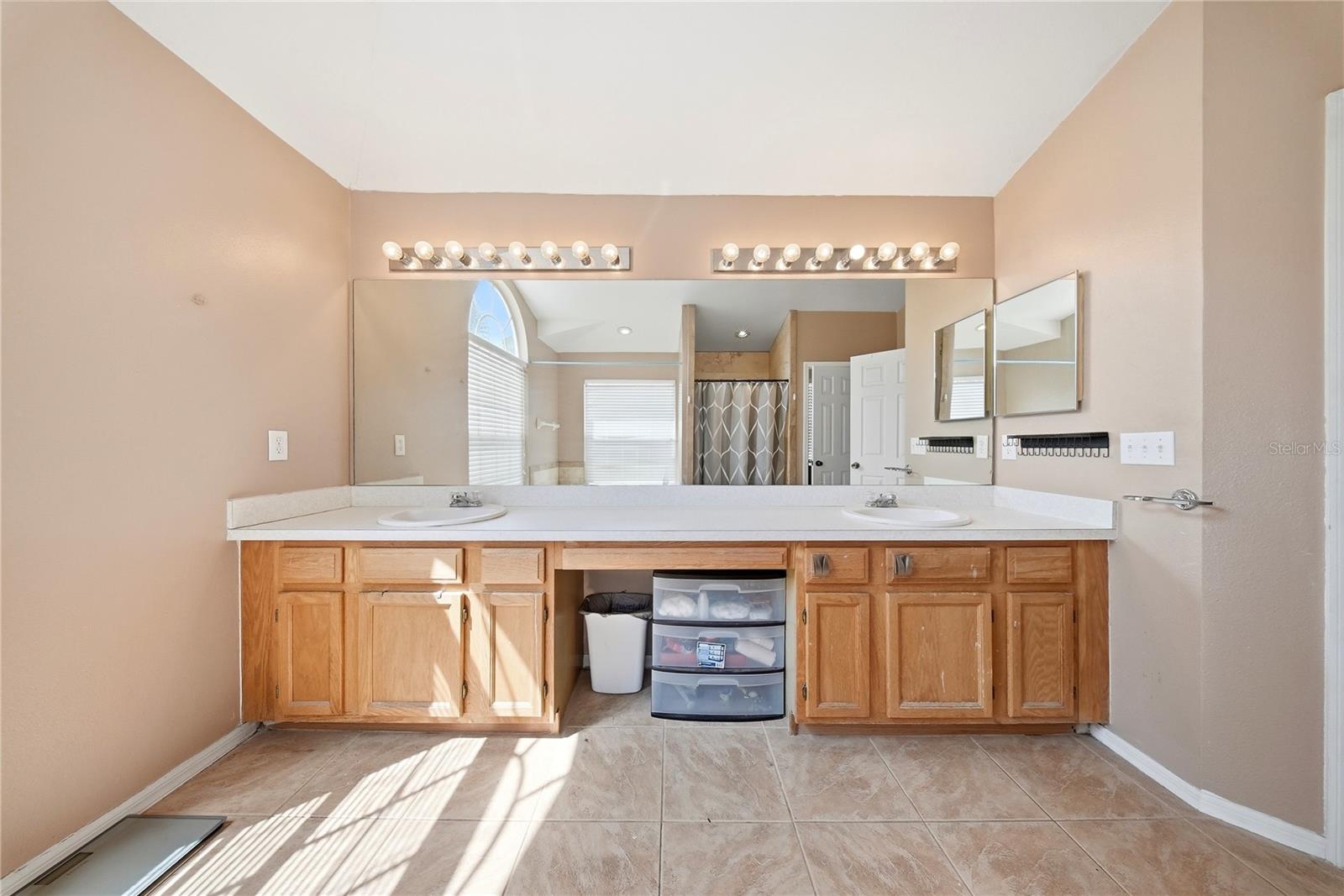 10919 SAILBROOKE DR, RIVERVIEW, FL, 33579