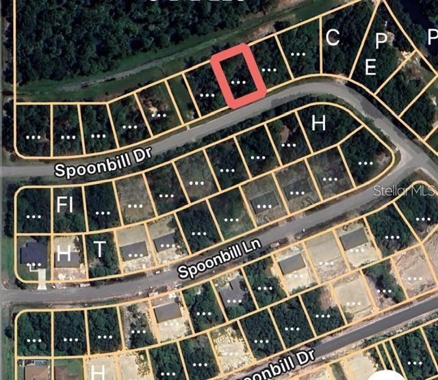 274 SPOONBILL DR, KISSIMMEE, FL, 34759