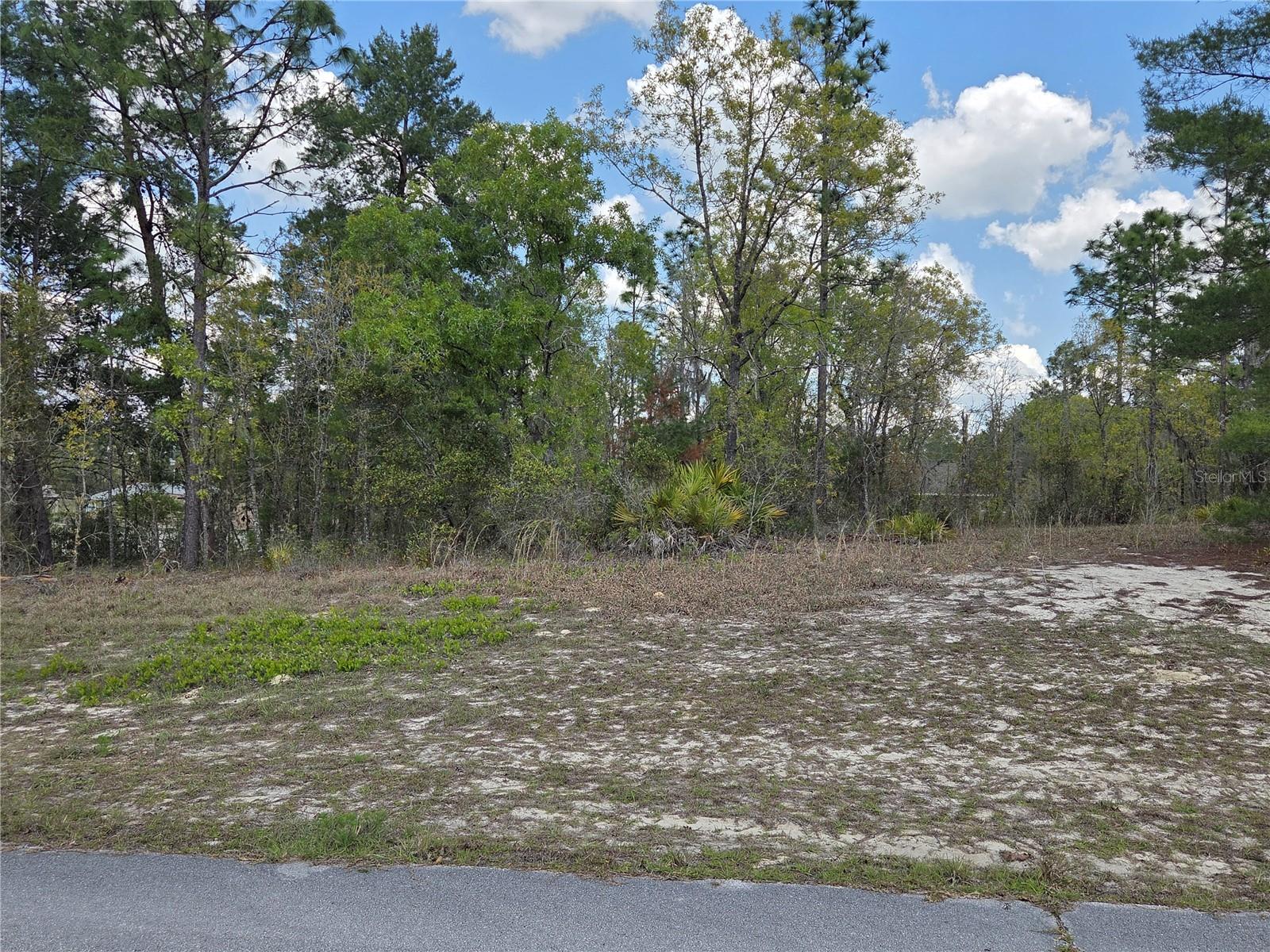 SW 139TH PLACE RD, OCALA, FL, 34473