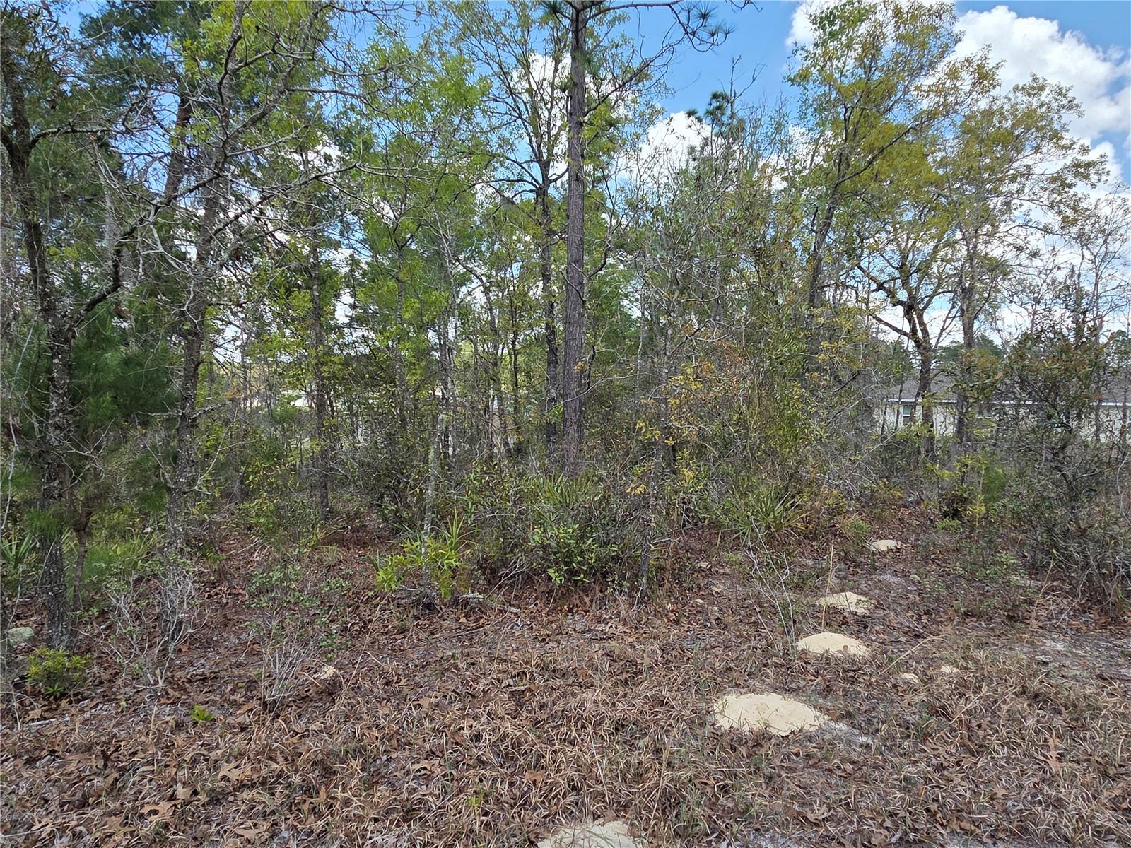 SW 139TH PLACE RD, OCALA, FL, 34473