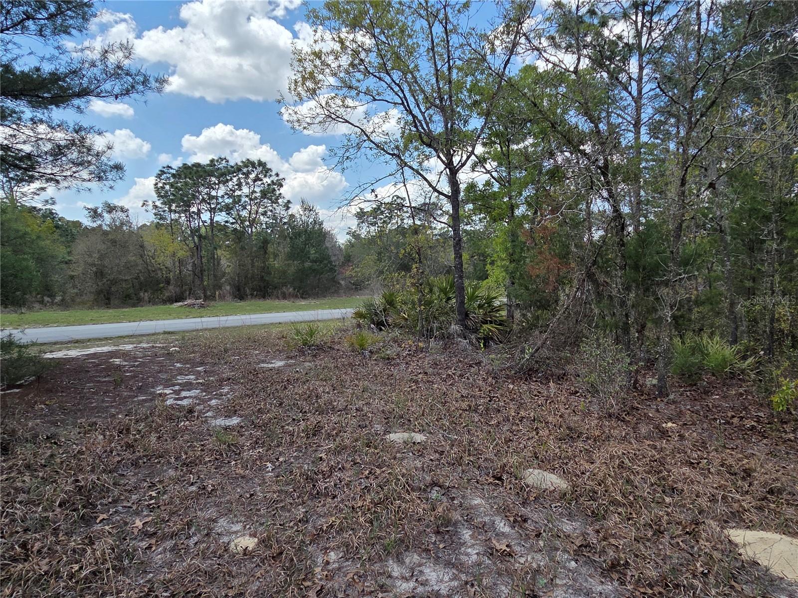 SW 139TH PLACE RD, OCALA, FL, 34473