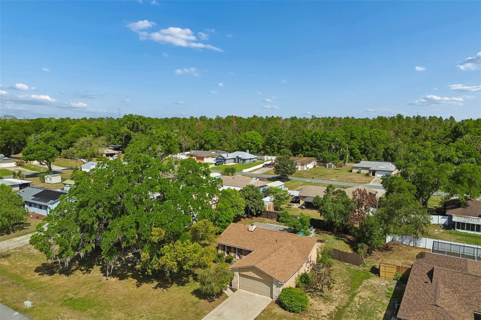 13635 BERKSHIRE CT, GRAND ISLAND, FL, 32735