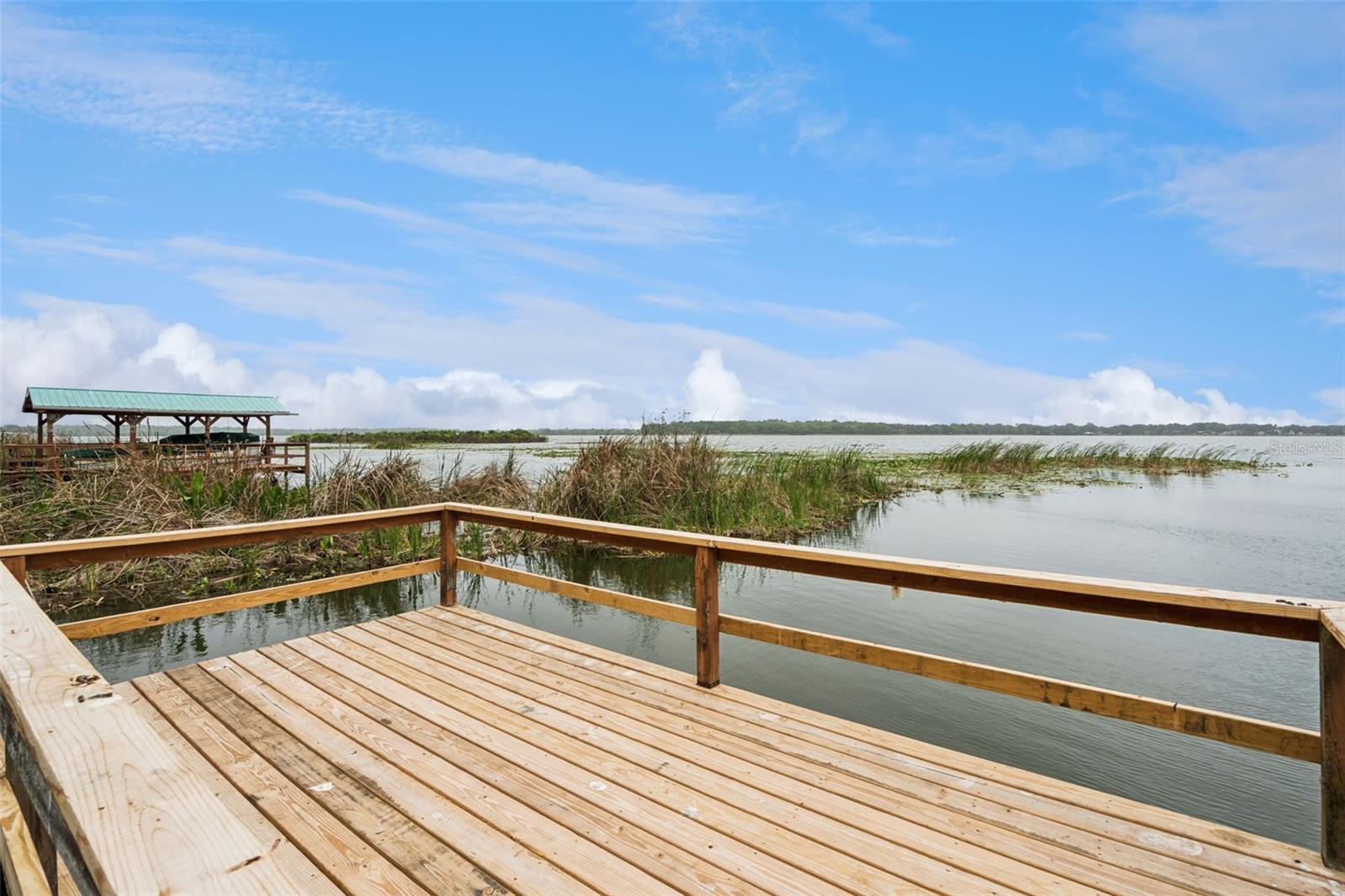 2316 N GRIFFIN DR, LEESBURG, FL, 34748