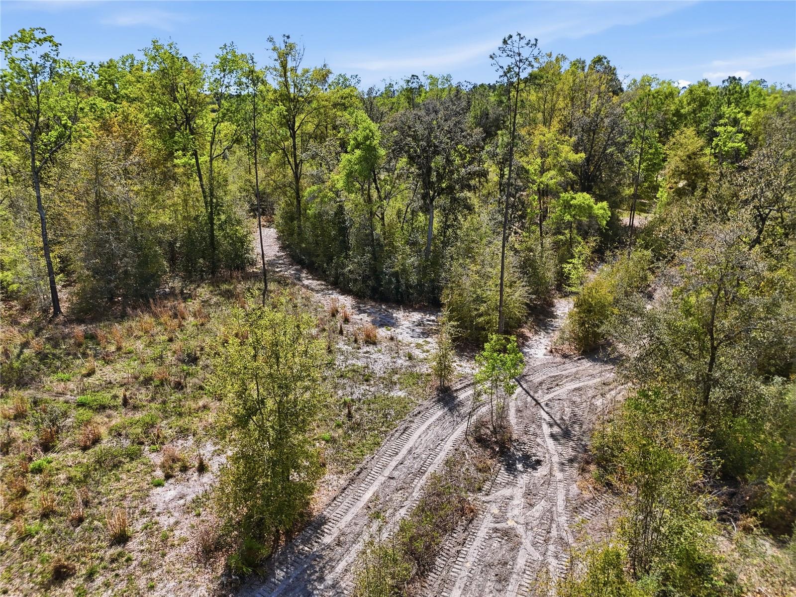 29578 SW 63RD AVE, NEWBERRY, FL, 32669