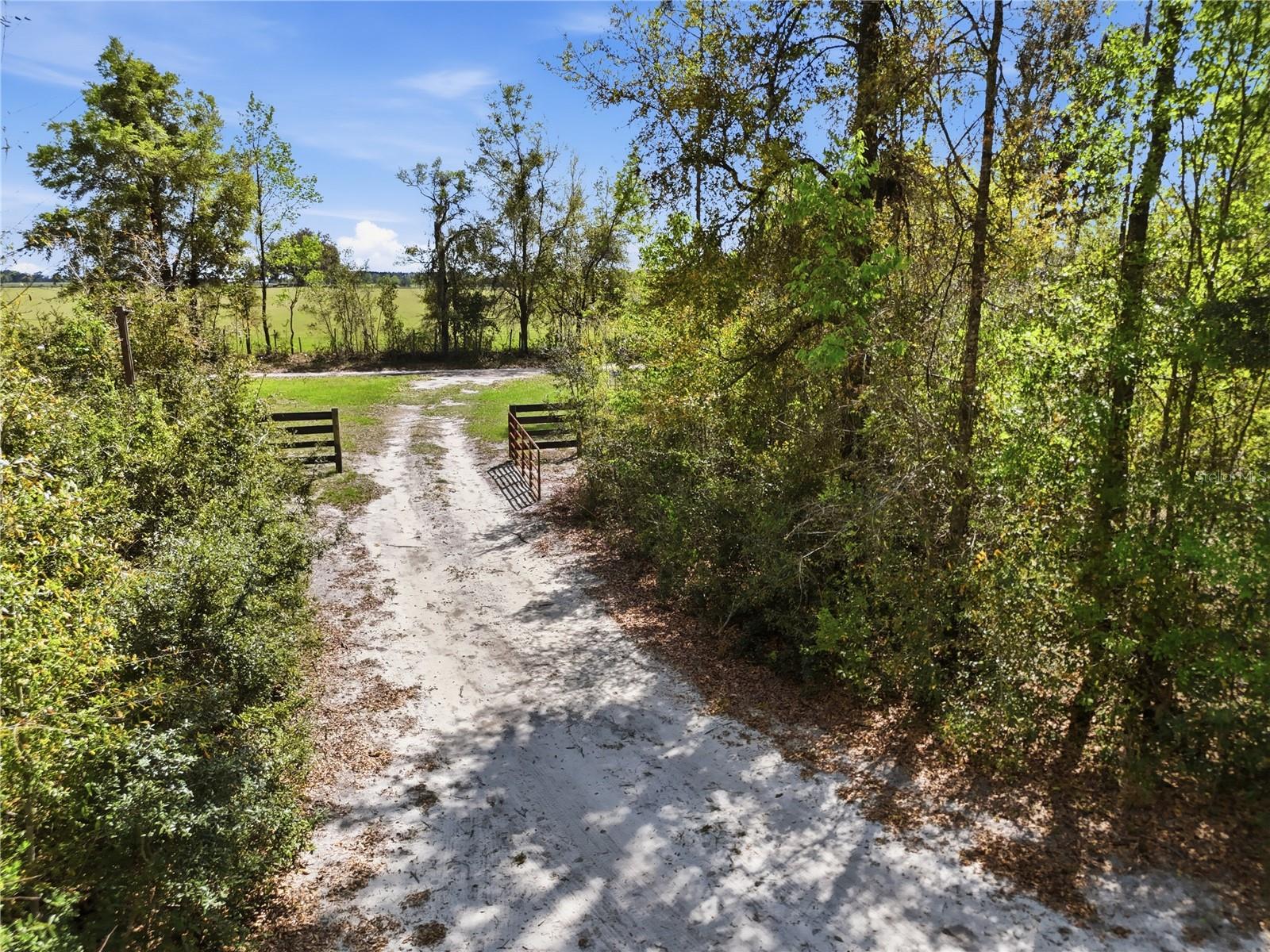 29578 SW 63RD AVE, NEWBERRY, FL, 32669