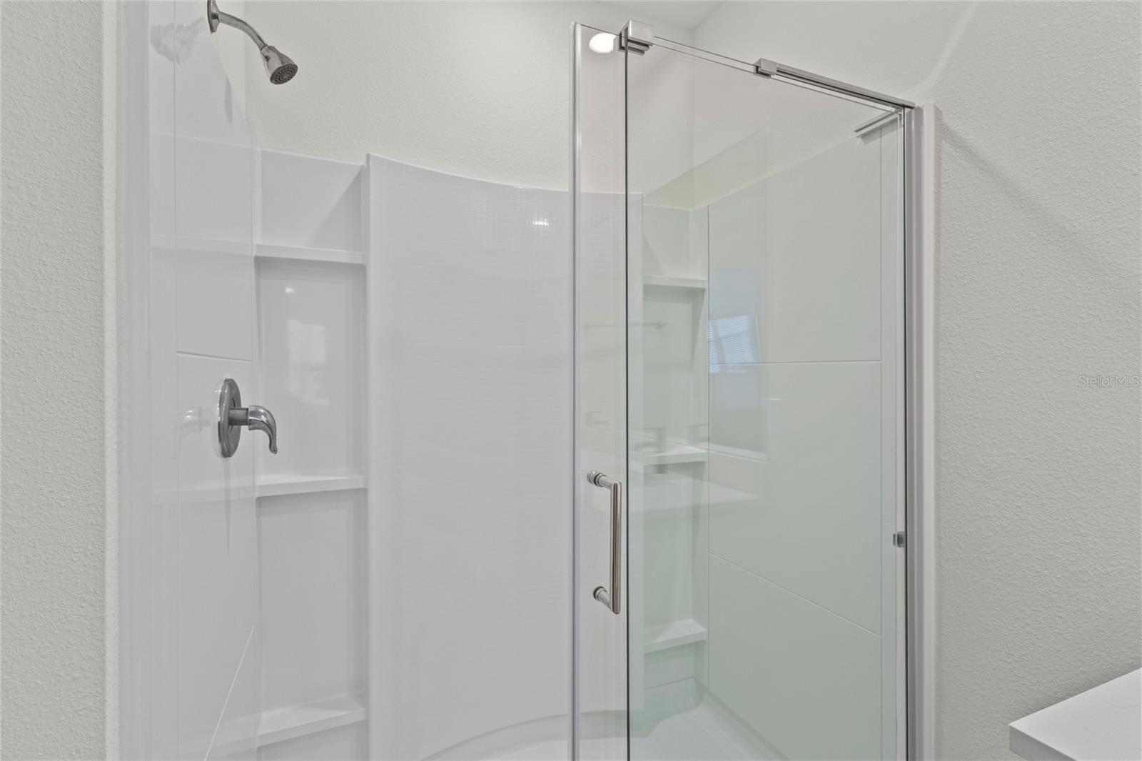 31455 PENNY SURF LOOP, WESLEY CHAPEL, FL, 33545
