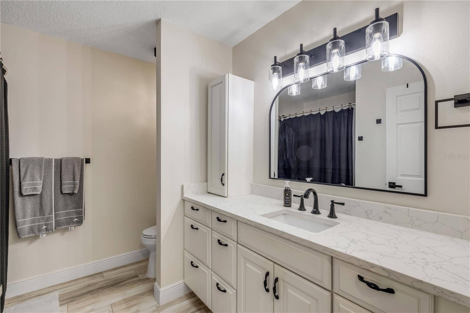 171 LIVE OAK CT, NEW SMYRNA BEACH, FL, 32168