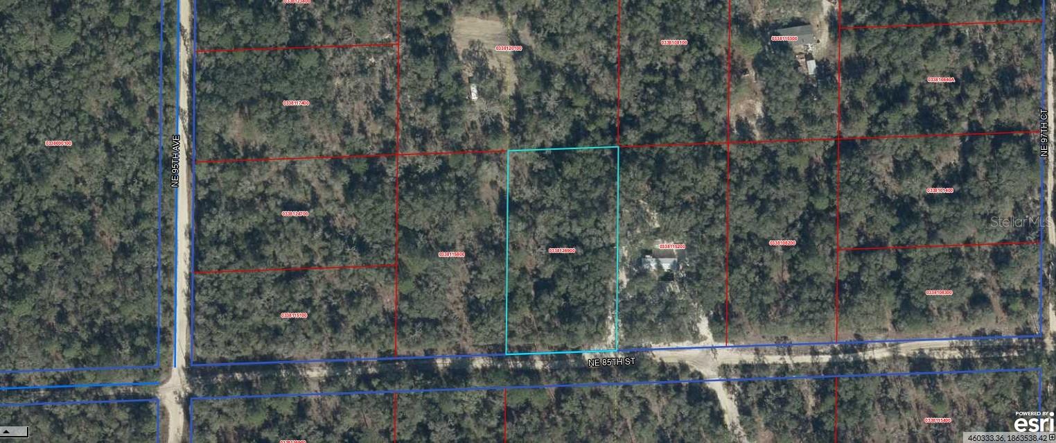 03381-269-00 NE 85TH ST, BRONSON, FL, 32621