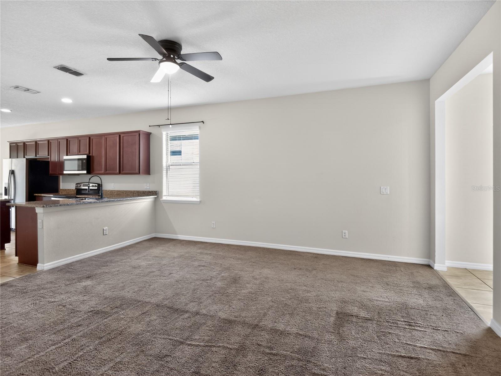 17520 BUTTERFLY PEA CT, CLERMONT, FL, 34714