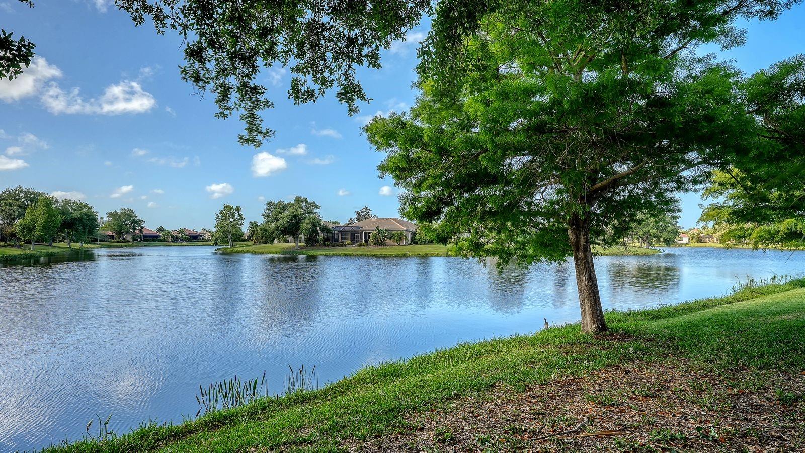 1348 THORNAPPLE DR, OSPREY, FL, 34229