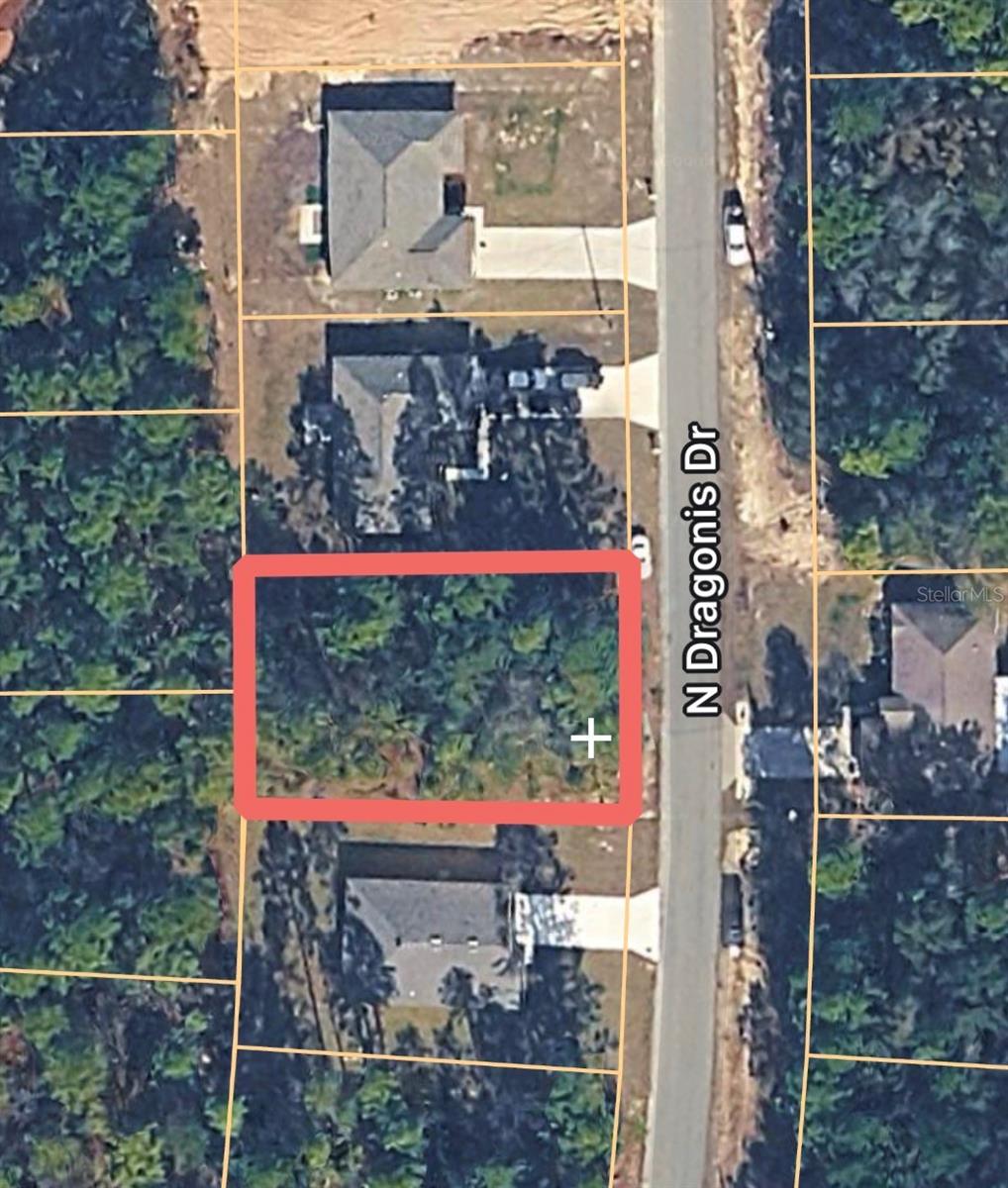 10924 N DRAGONIS DR, CITRUS SPRINGS, FL, 34433
