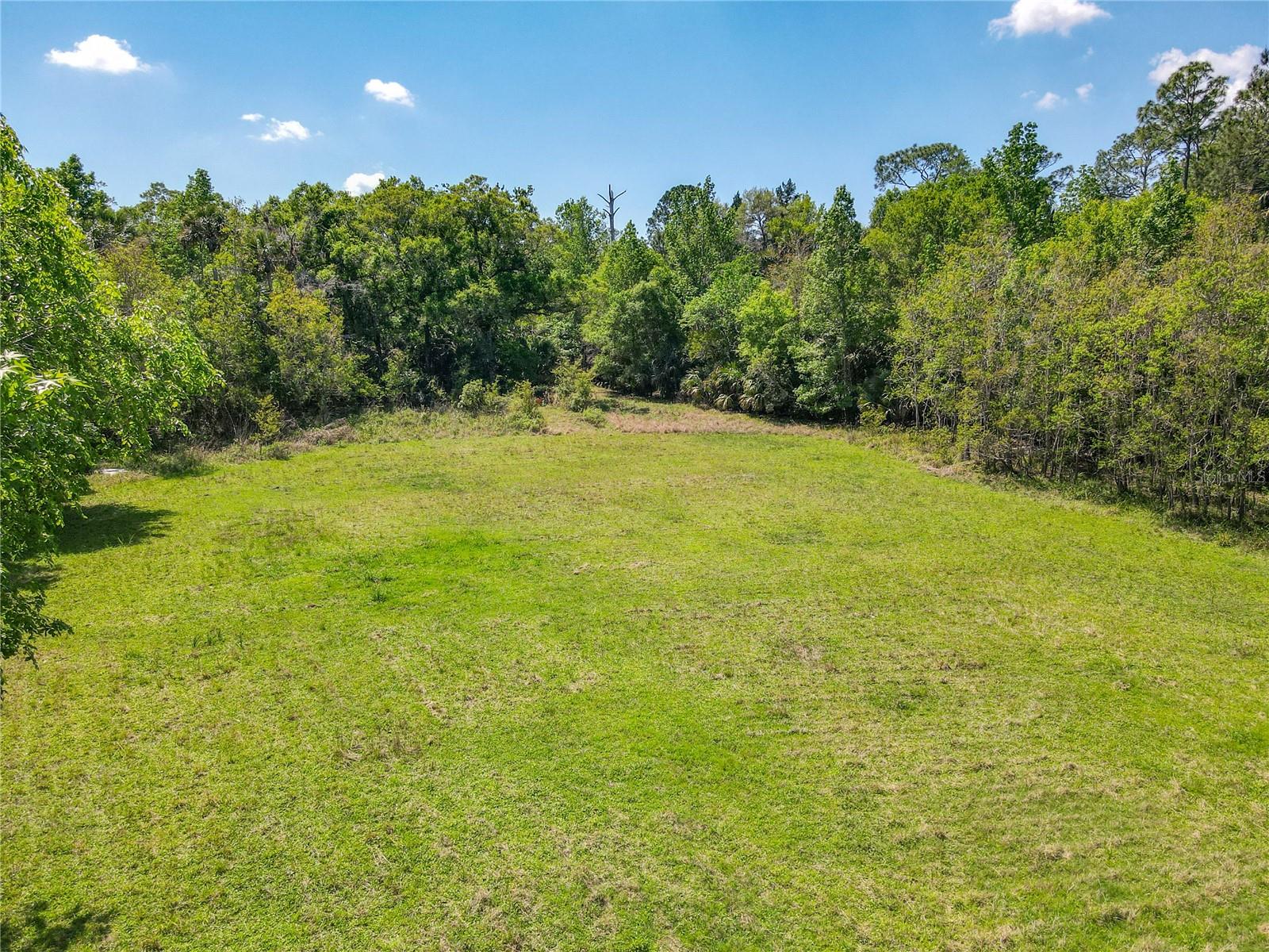 1501 ASHBY CREEK RD, OSTEEN, FL, 32764