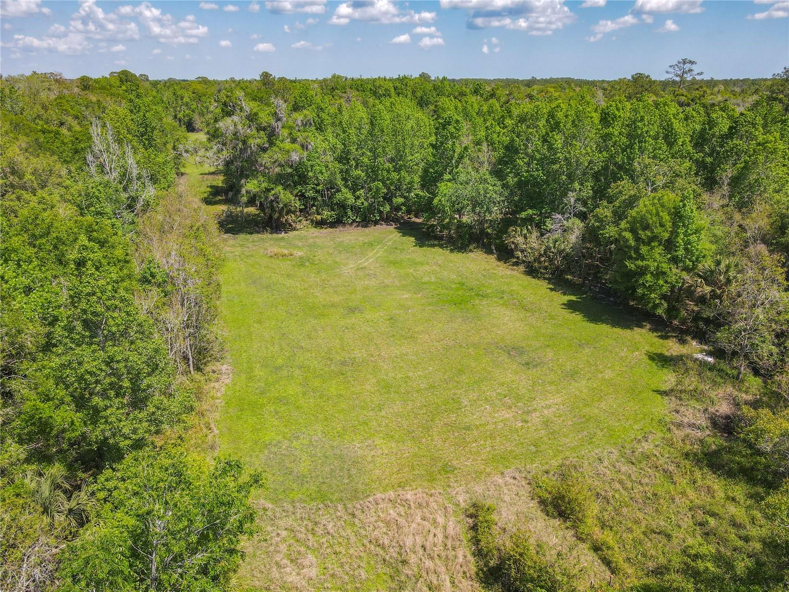 1501 ASHBY CREEK RD, OSTEEN, FL, 32764