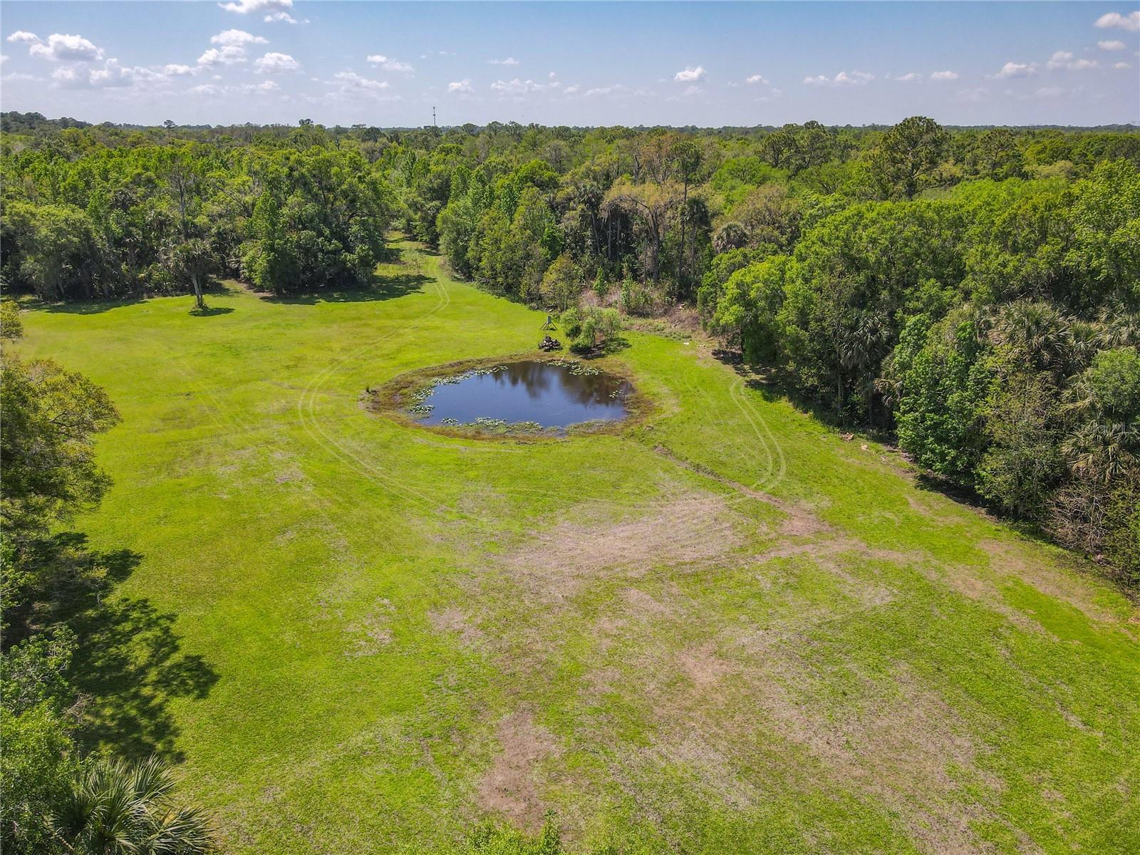 1501 ASHBY CREEK RD, OSTEEN, FL, 32764