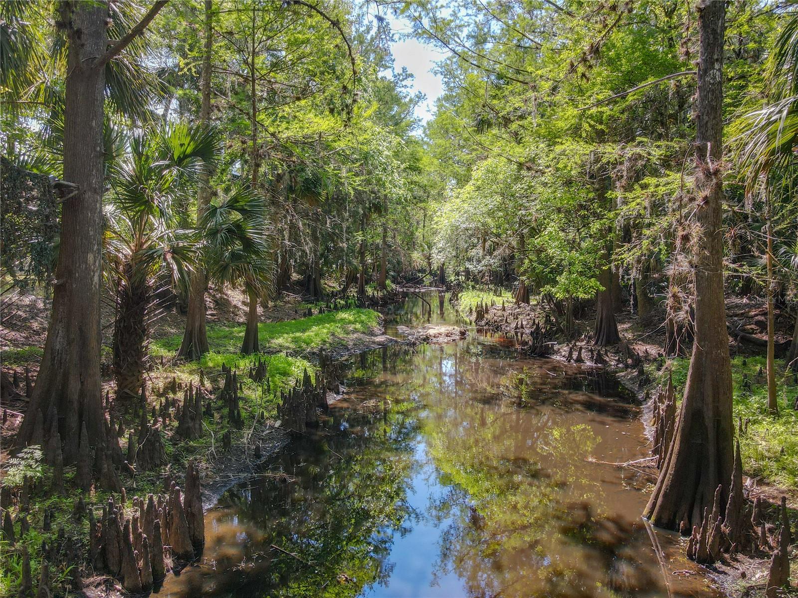 1501 ASHBY CREEK RD, OSTEEN, FL, 32764