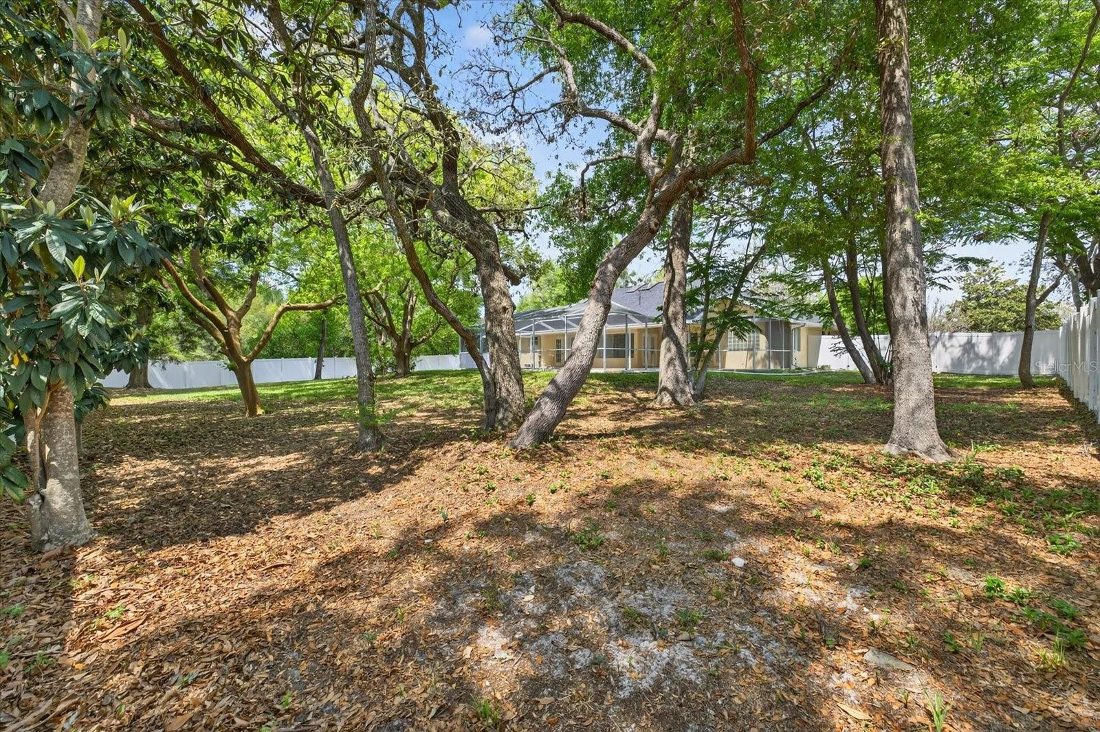 12280 EVERARD DR, SPRING HILL, FL, 34609