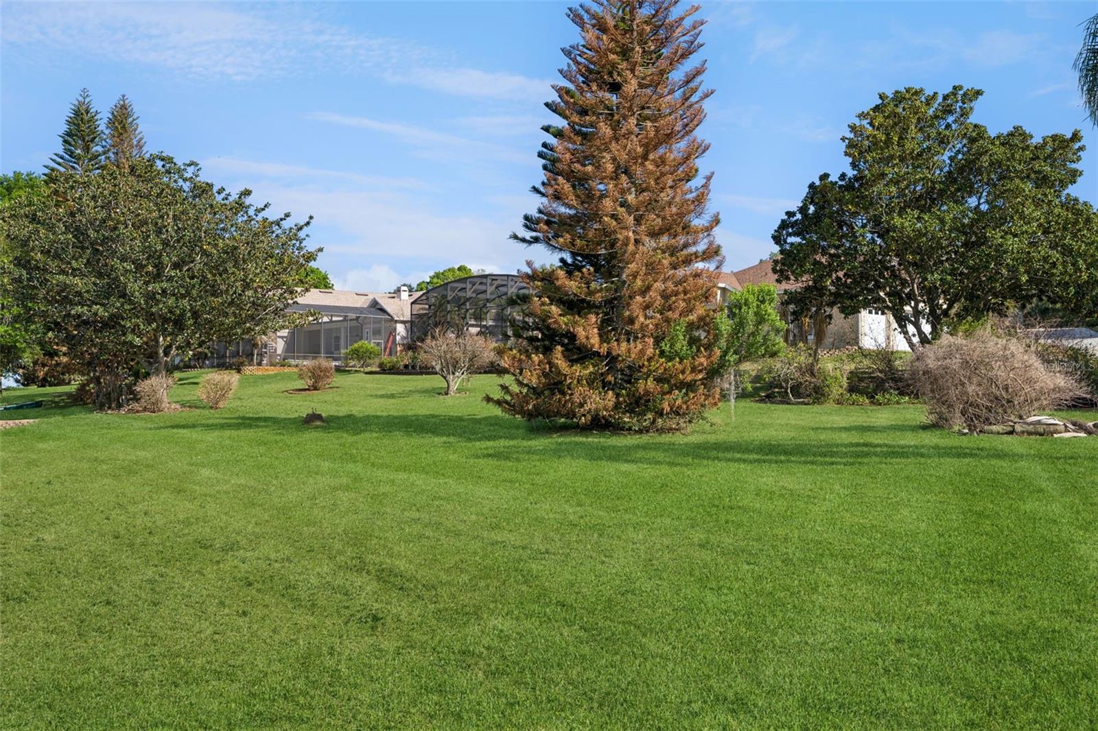 16941 MAGNOLIA ISLAND BLVD, CLERMONT, FL, 34711