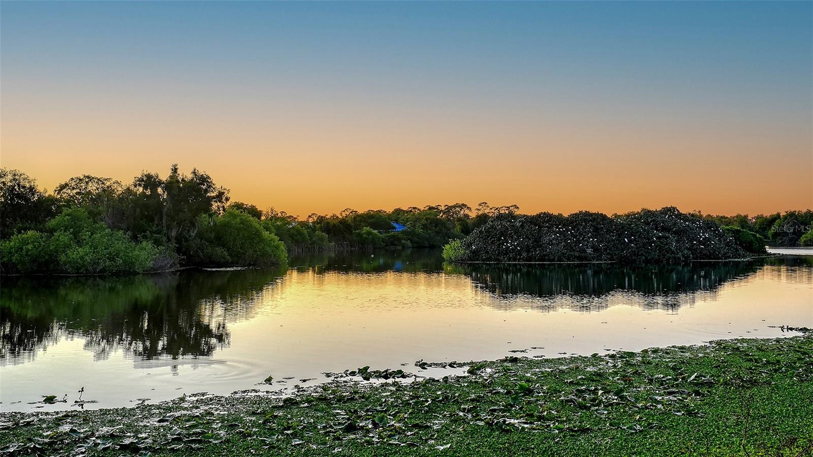7363 OAK MOSS DR #33, SARASOTA, FL, 34241
