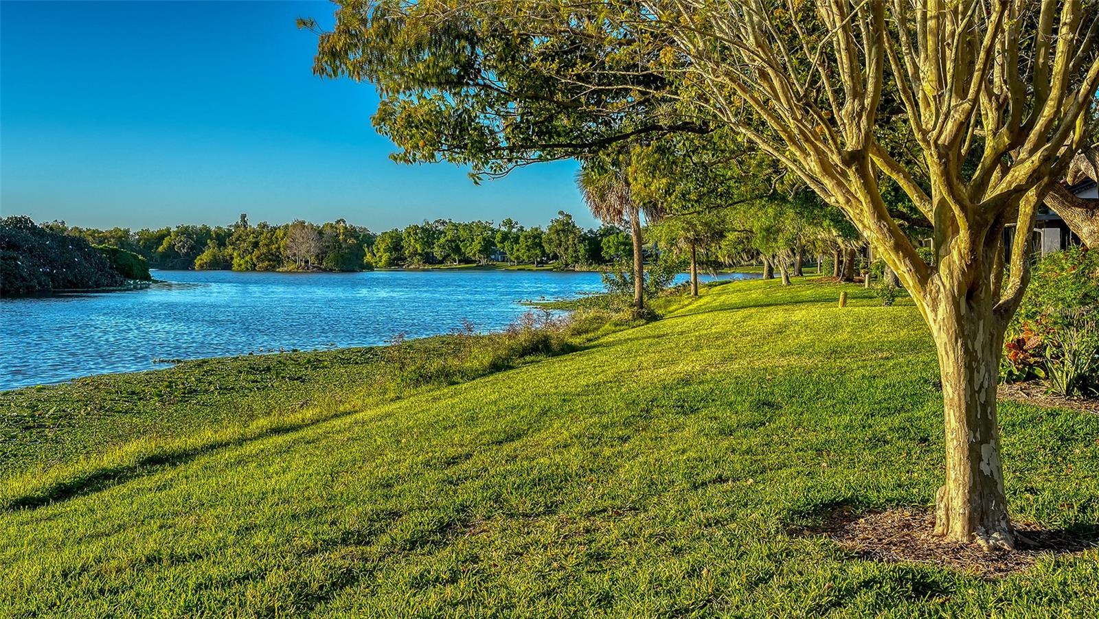 7363 OAK MOSS DR #33, SARASOTA, FL, 34241