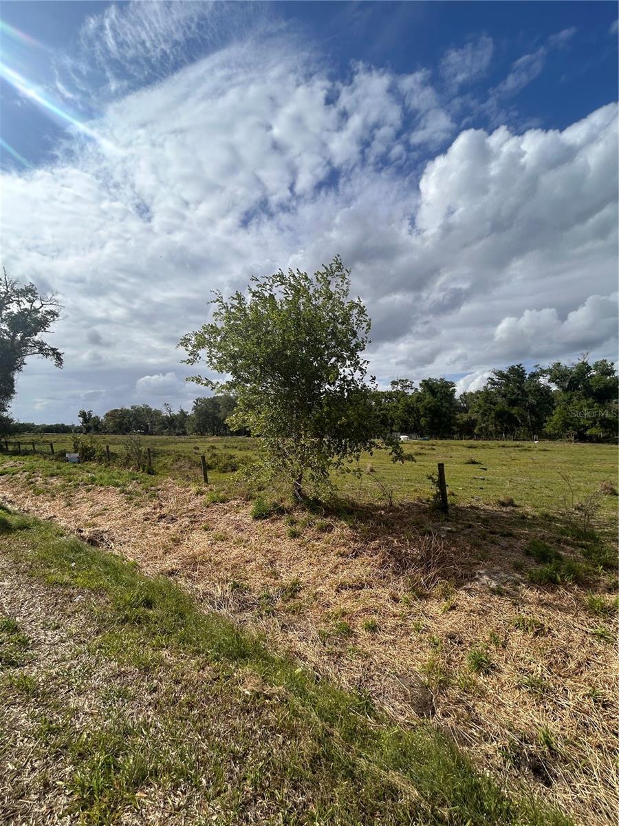 WASHINGTON ST, ARCADIA, FL, 34266