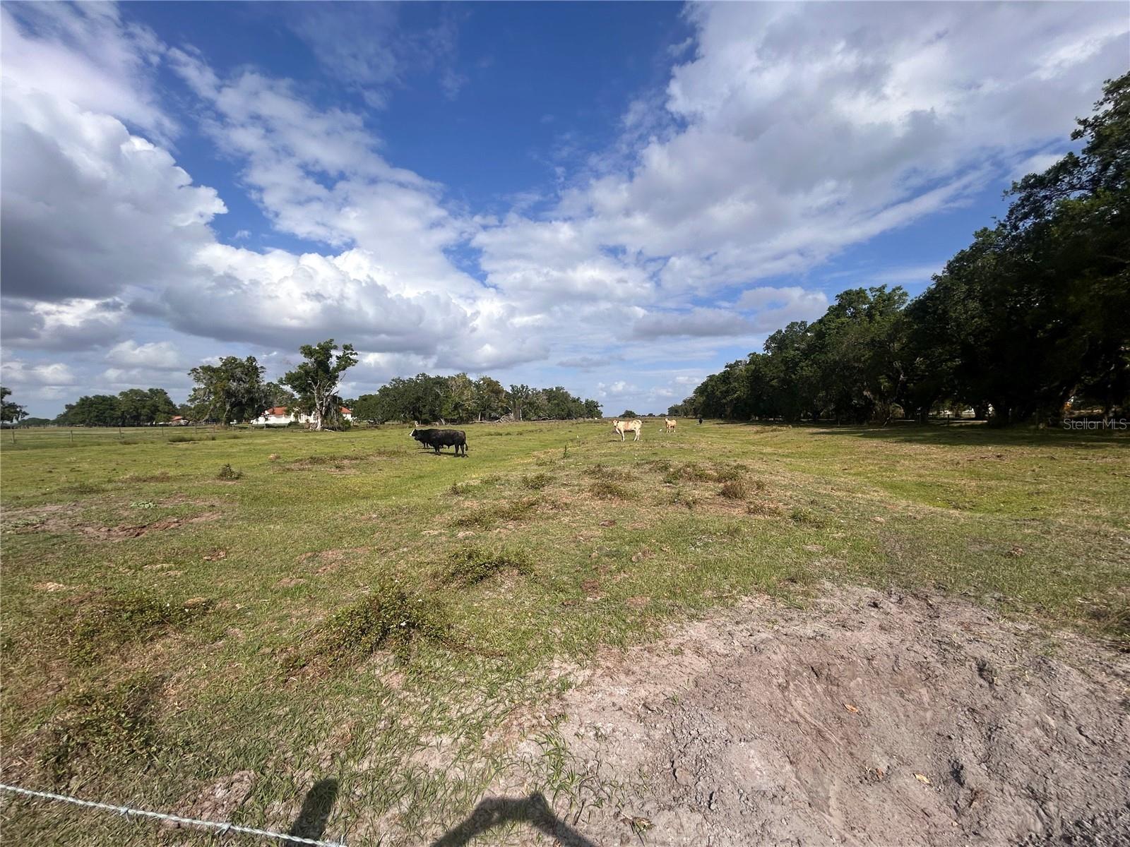 WASHINGTON ST, ARCADIA, FL, 34266