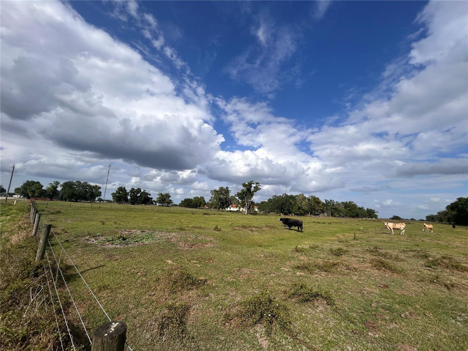 WASHINGTON ST, ARCADIA, FL, 34266