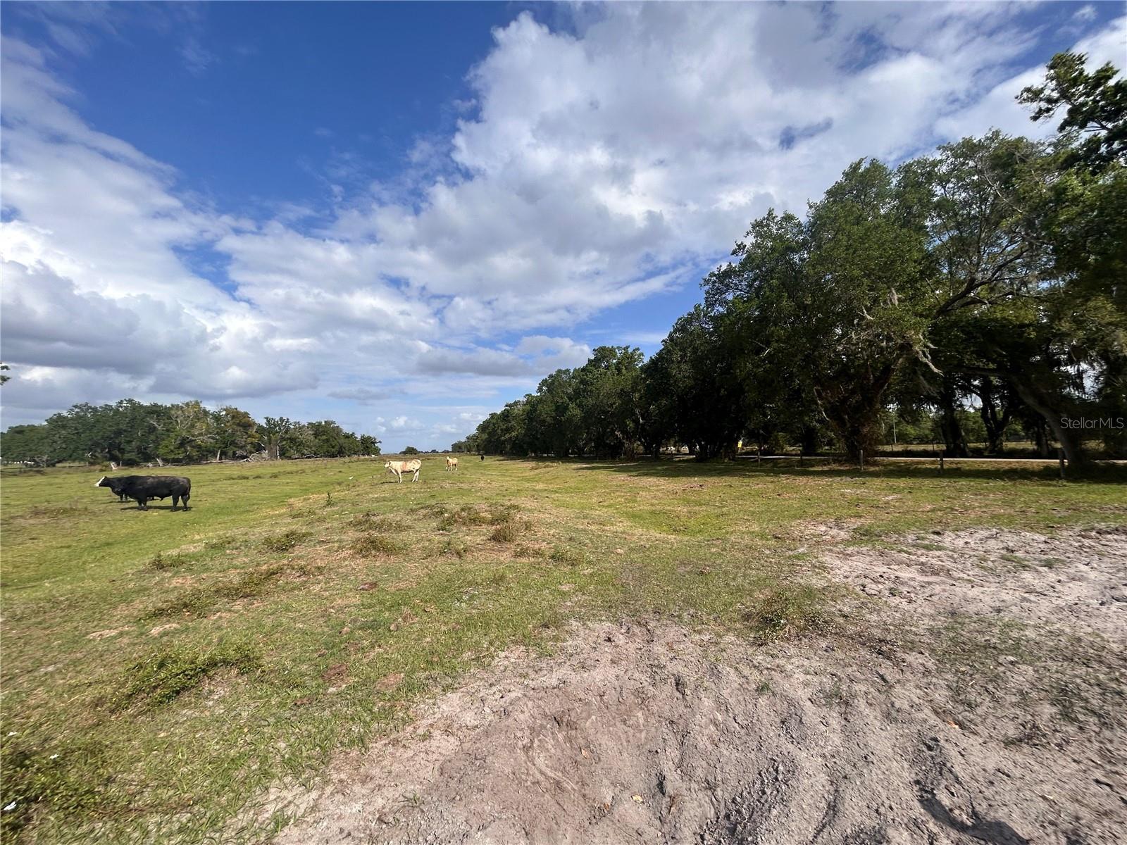 WASHINGTON ST, ARCADIA, FL, 34266