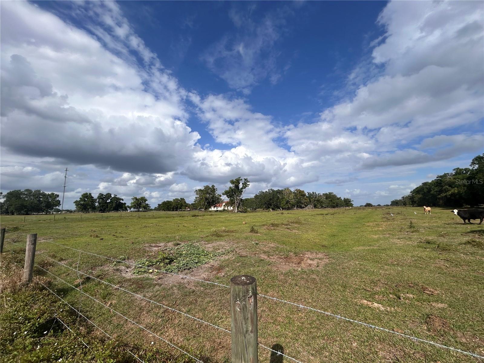 WASHINGTON ST, ARCADIA, FL, 34266