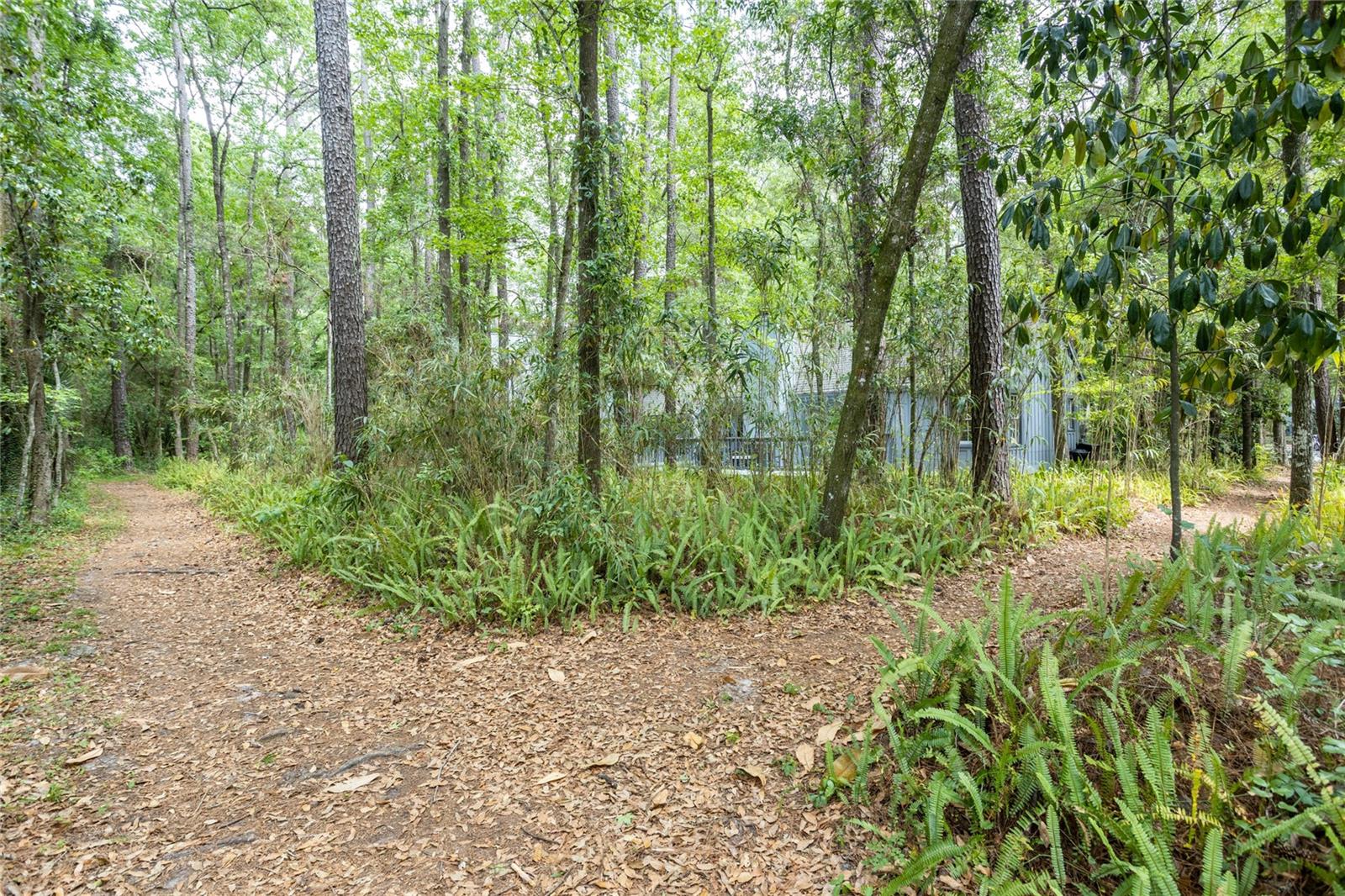 8432 SW 46 RD, GAINESVILLE, FL, 32608