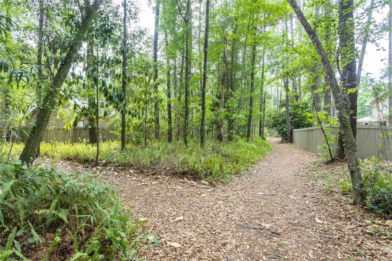 8432 SW 46 RD, GAINESVILLE, FL, 32608