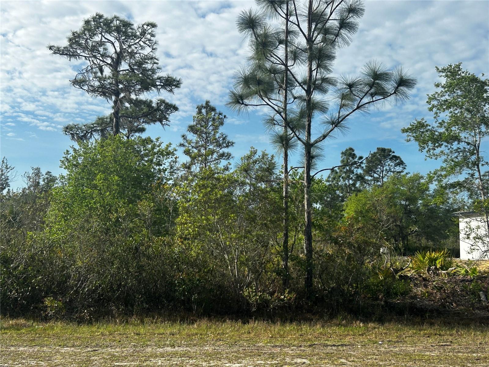 618 POINCIANA DR, INDIAN LAKE ESTATES, FL, 33855