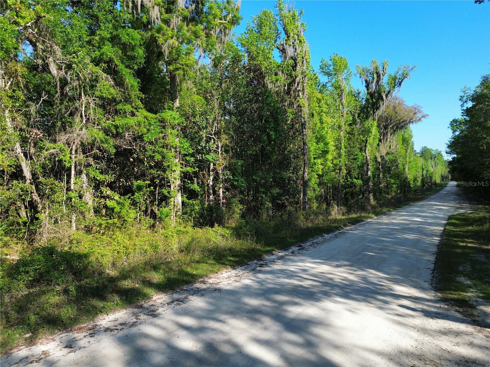 00 NW 144TH AVENUE, WILLISTON, FL, 32696