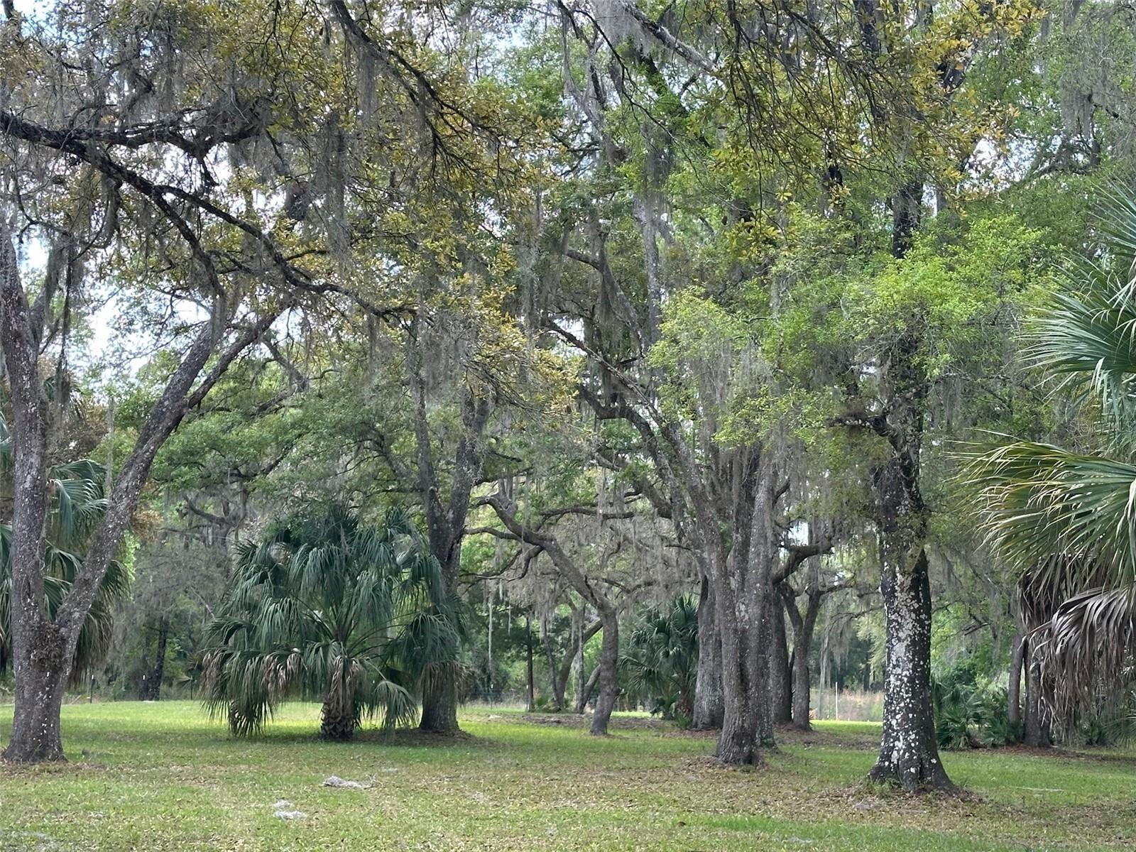 12501 SW HIGHWAY 200, DUNNELLON, FL, 34432