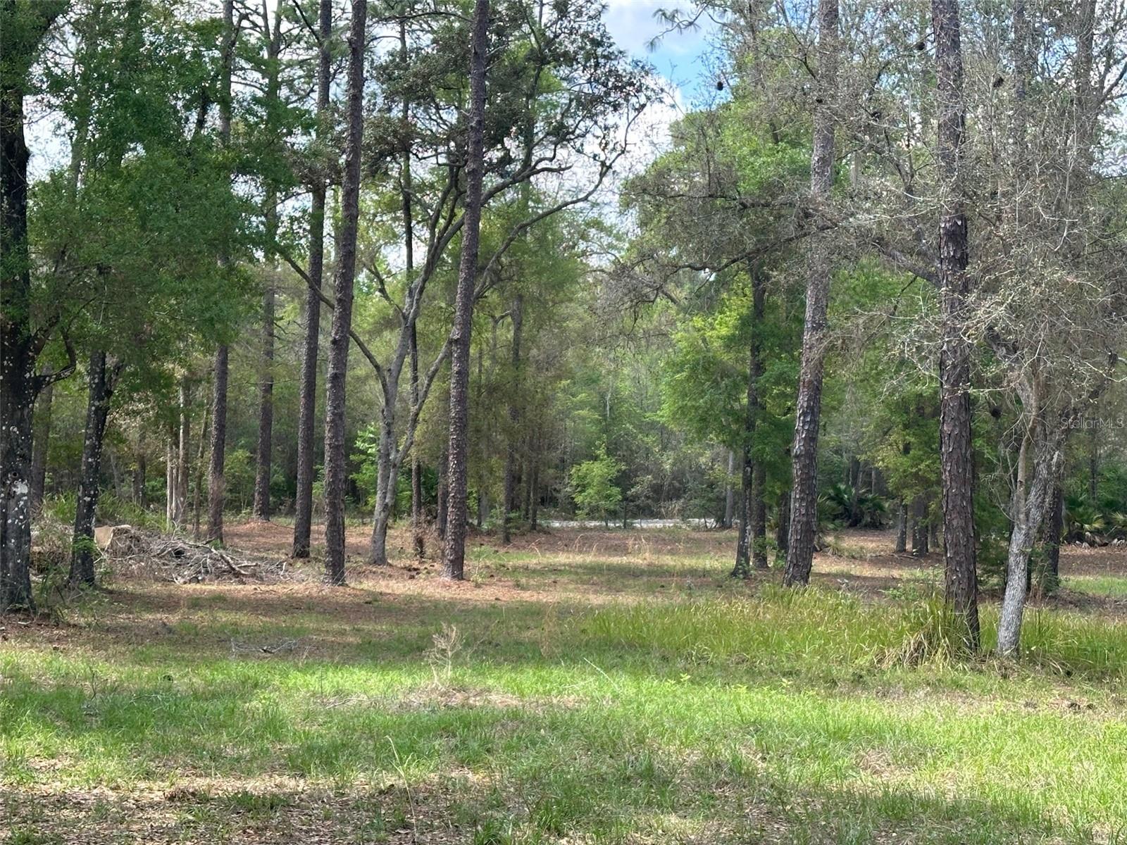 12501 SW HIGHWAY 200, DUNNELLON, FL, 34432