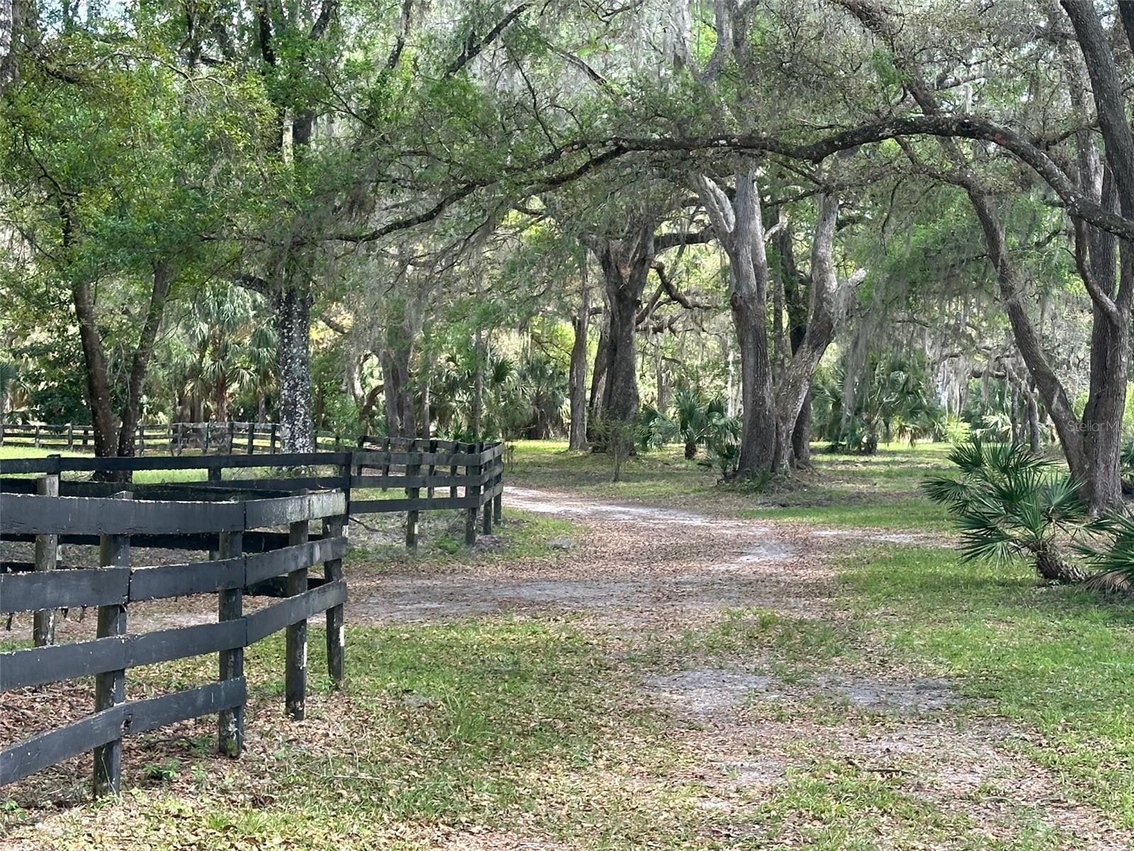 12501 SW HIGHWAY 200, DUNNELLON, FL, 34432