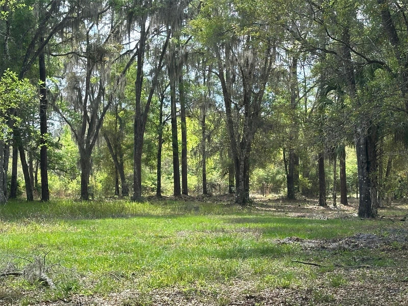 12501 SW HIGHWAY 200, DUNNELLON, FL, 34432