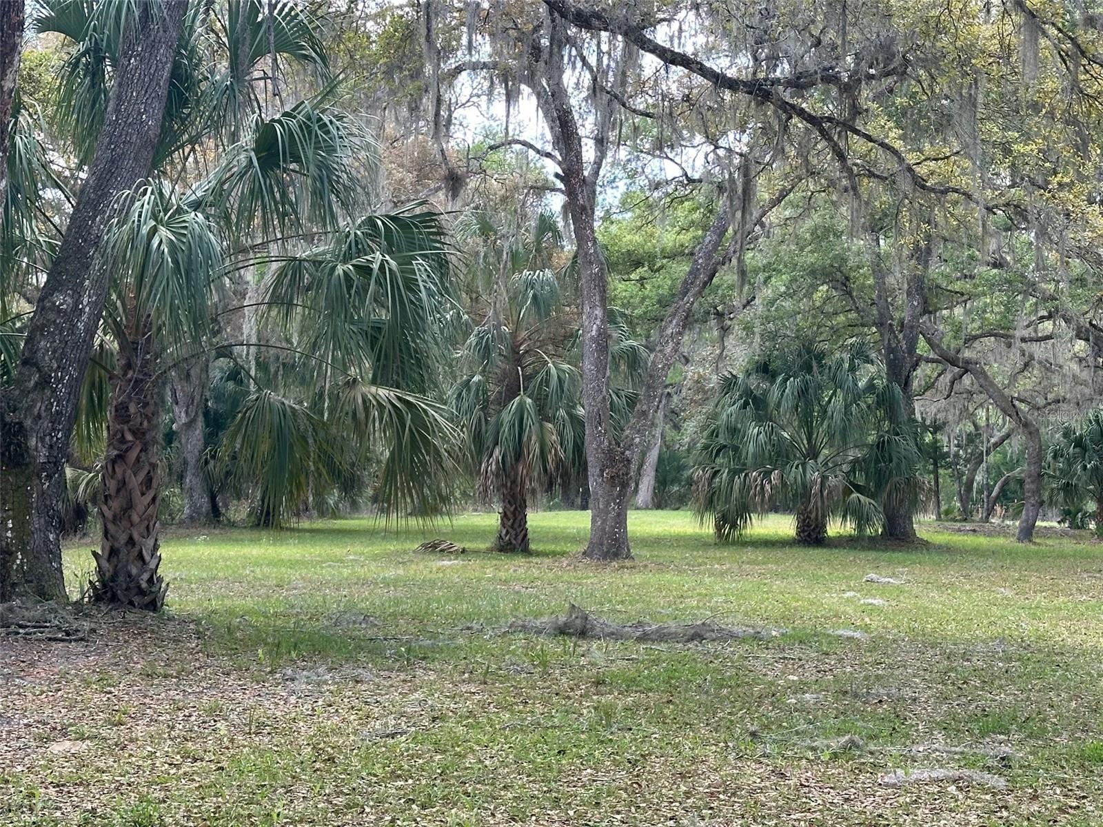 12501 SW HIGHWAY 200, DUNNELLON, FL, 34432